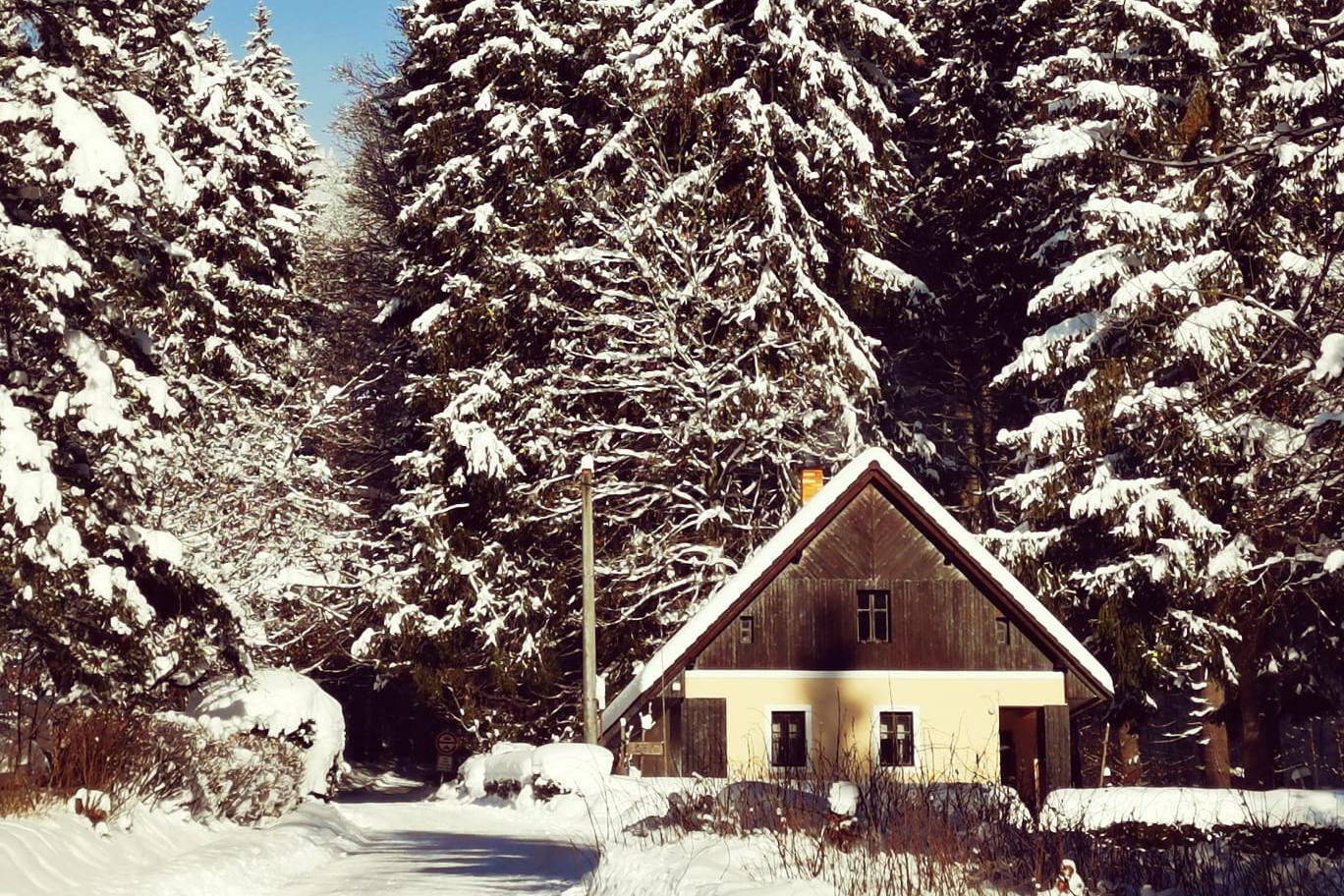 Tomáš Kučera - Podnikatelství staveb