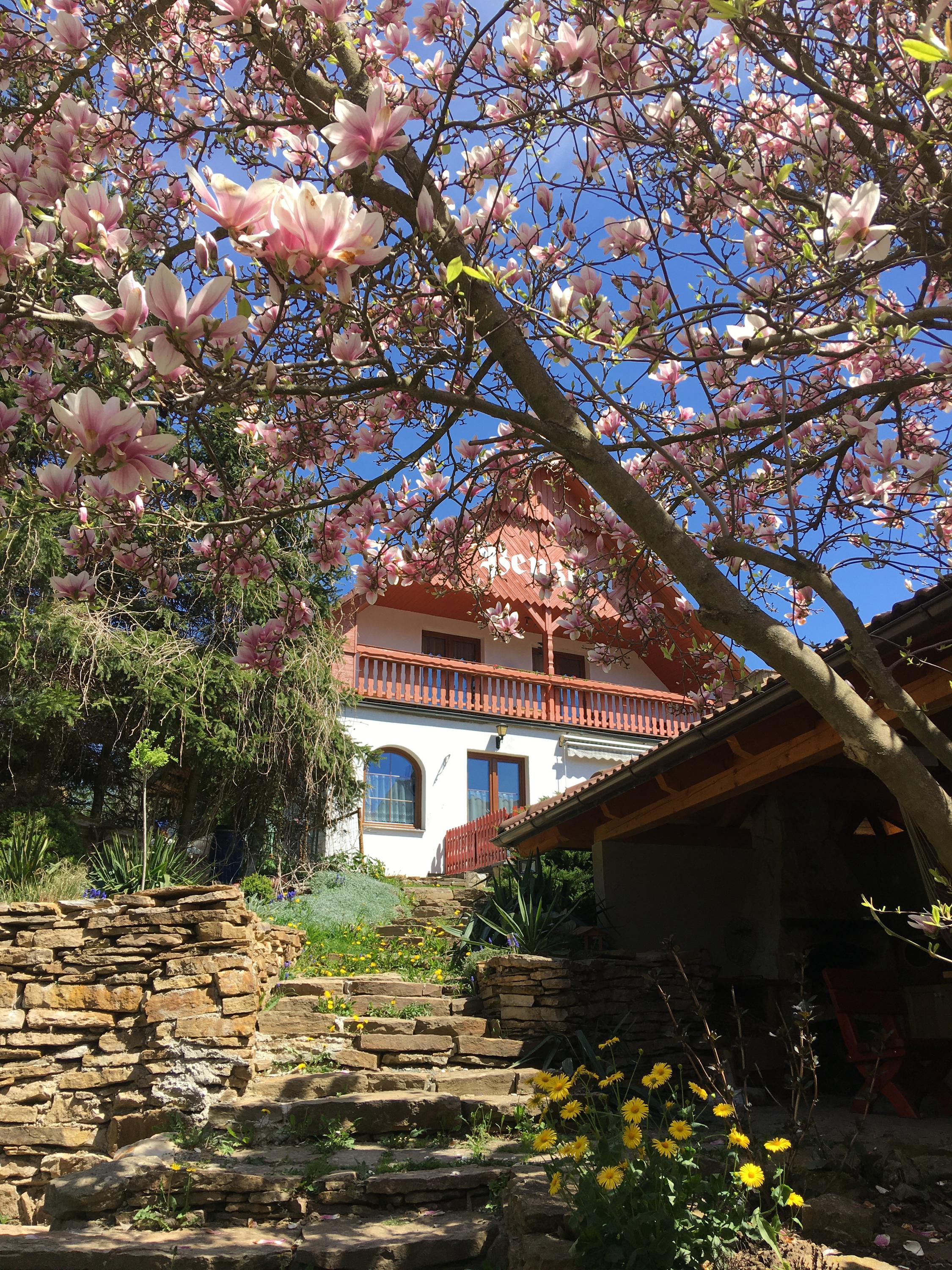 Penzion Na Hradčanech foto 2