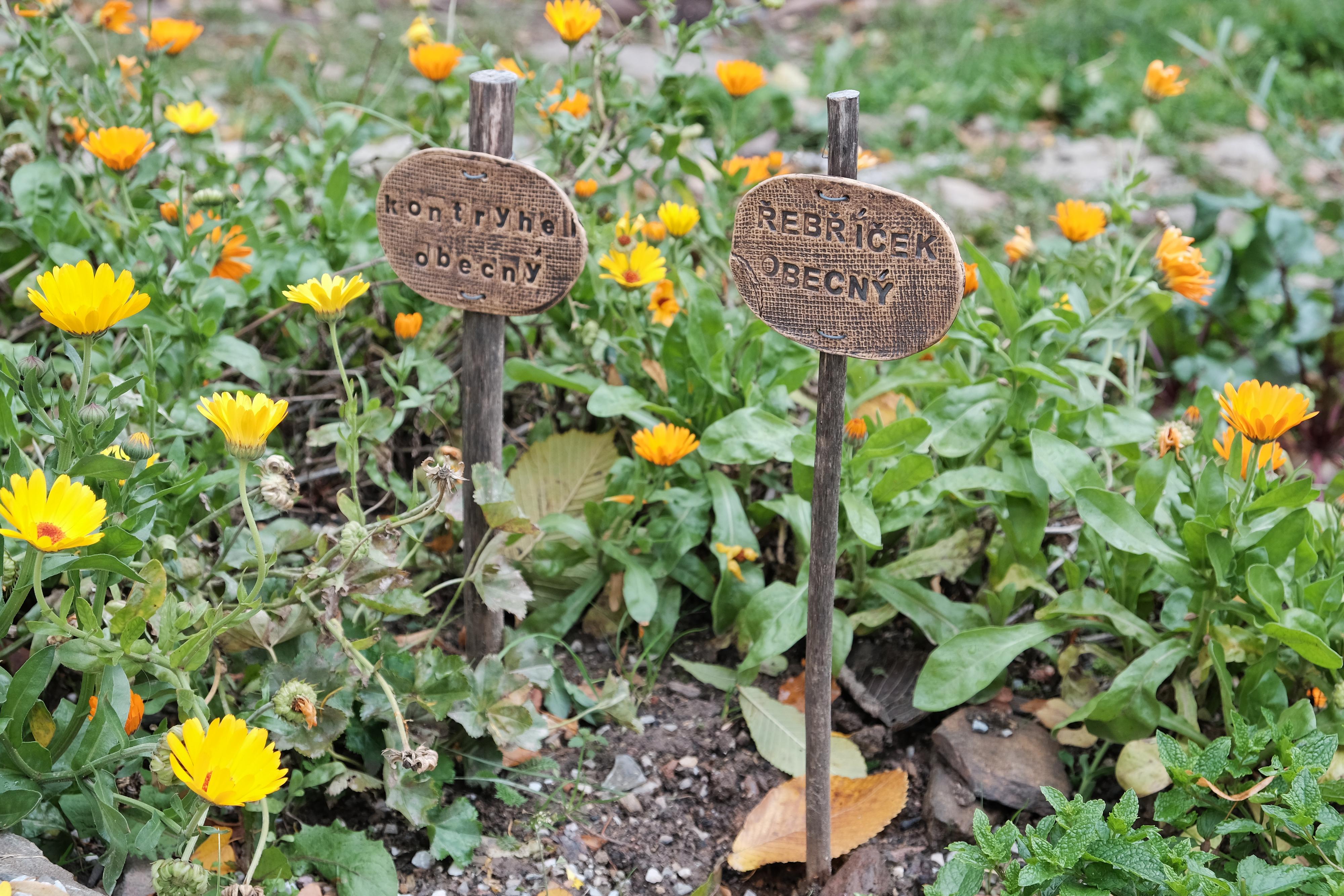 Přírodní zahrada DOTEK foto 4