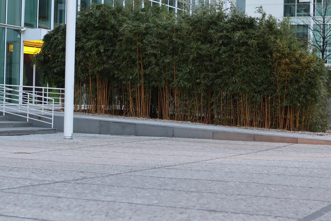 Raiffeisenbank - pobočka foto 4