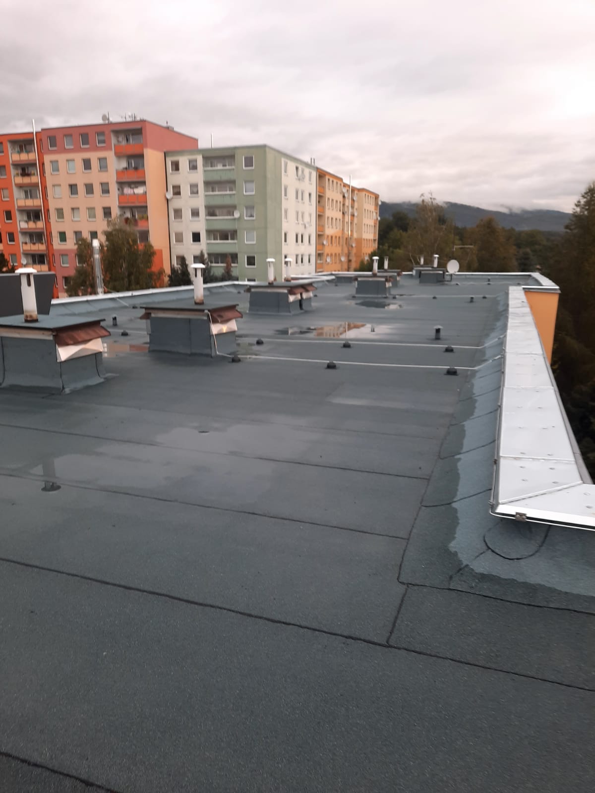 Lehr - Jelen ploché střechy foto 2