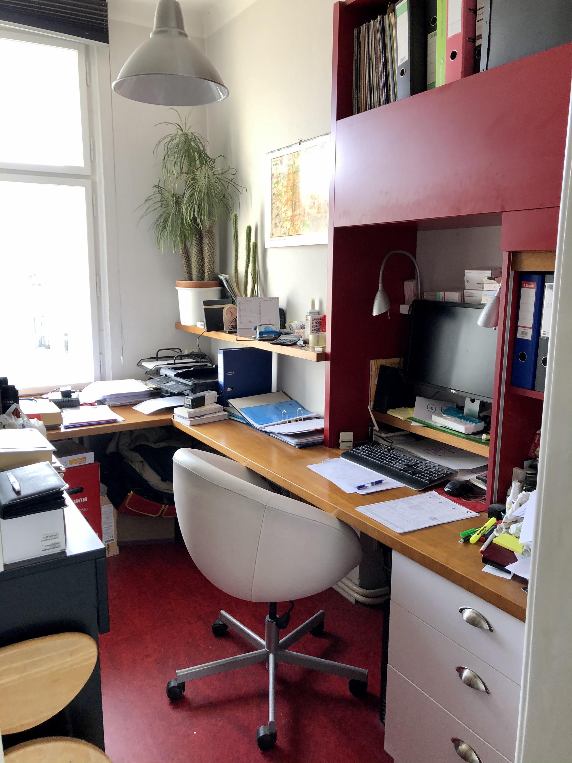 Světlana Novotná foto 2