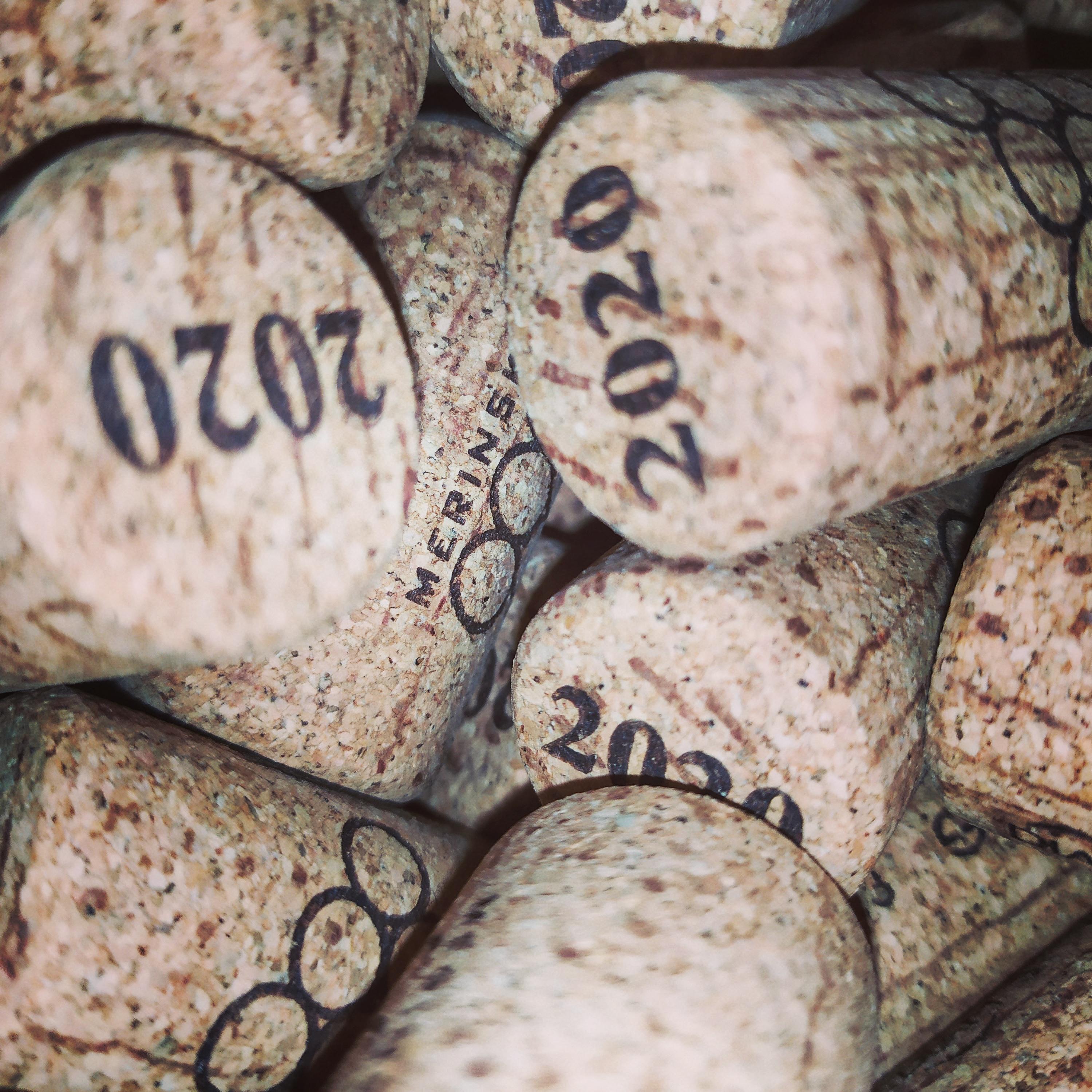 Víno T. Měřínský foto 3