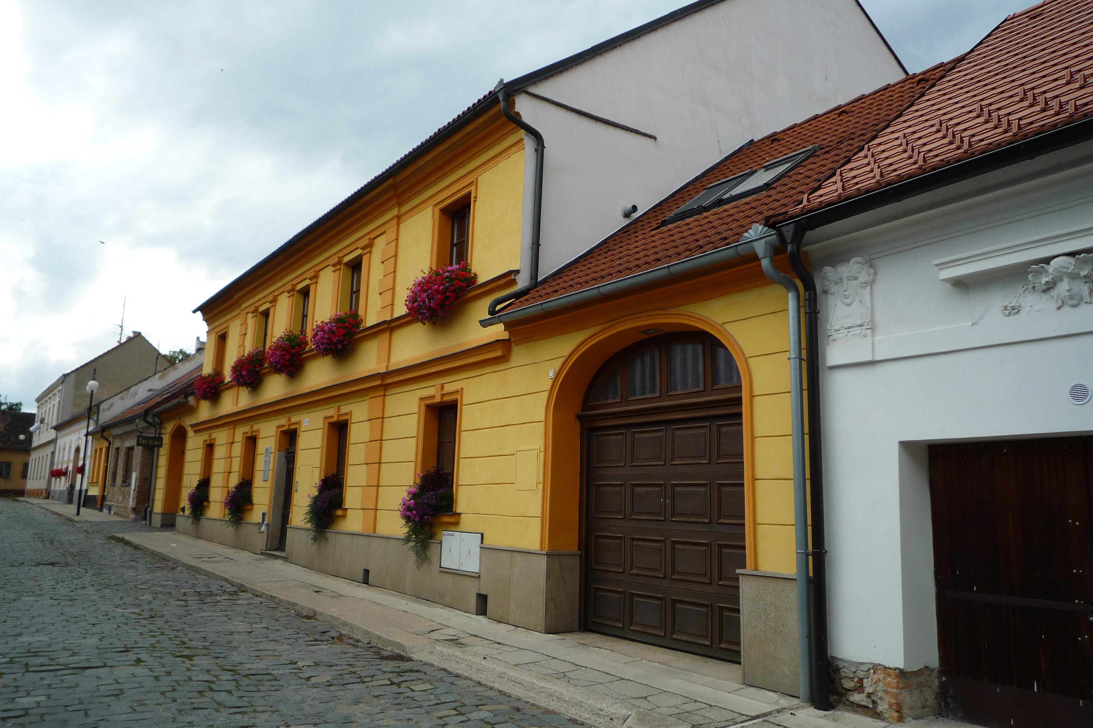 Květinářství Žlutý tulipán foto 2