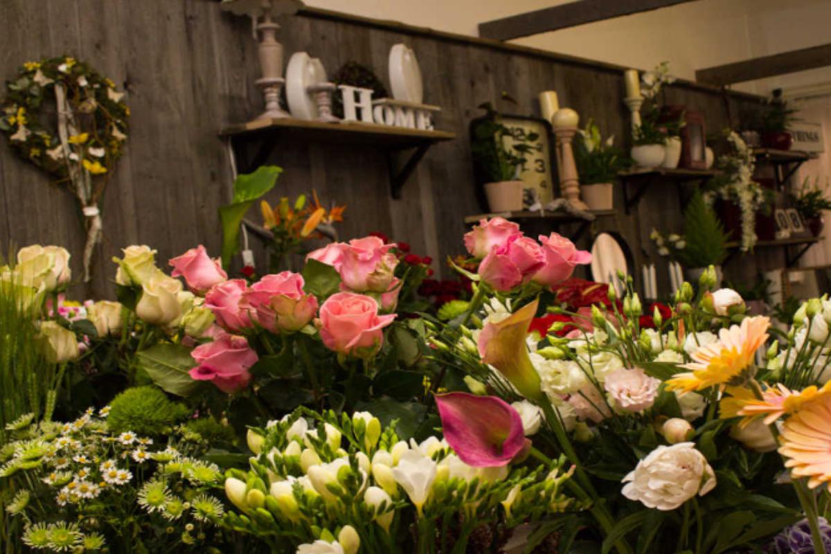 Květinové studio Petronila