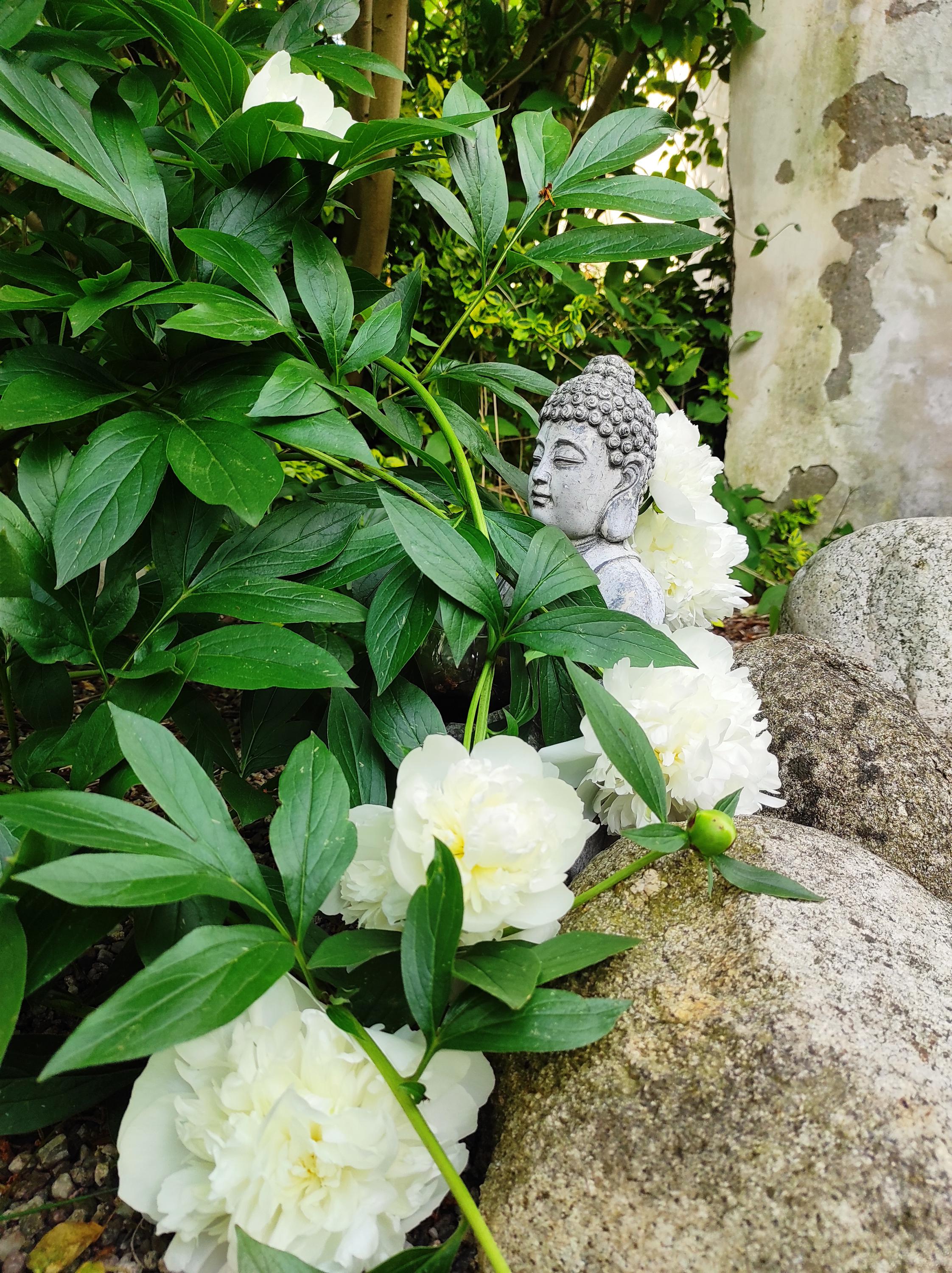 Masáže Milan Krynek foto 2