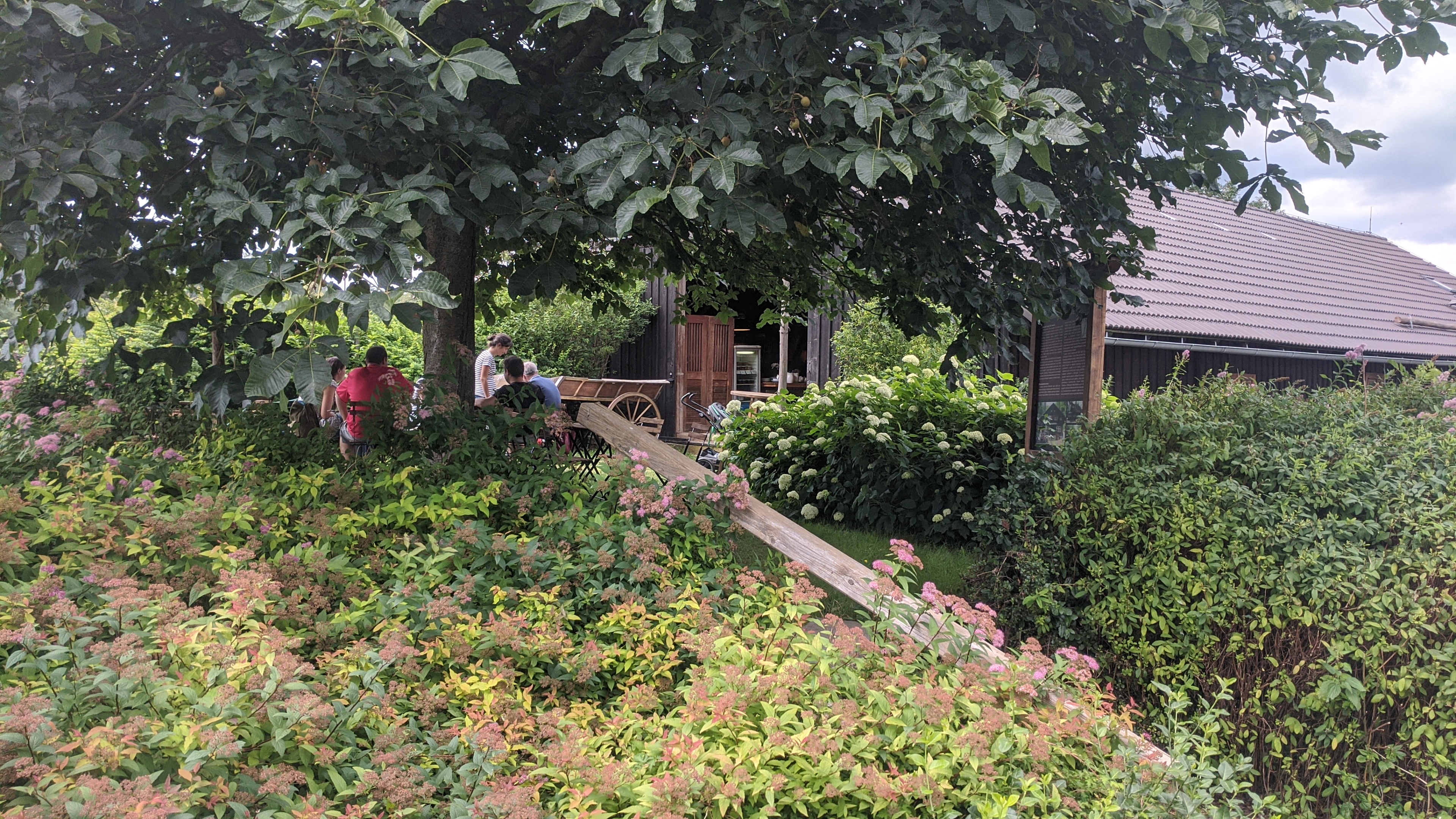 Café Tyjátr - kavárna ve stodole foto 6