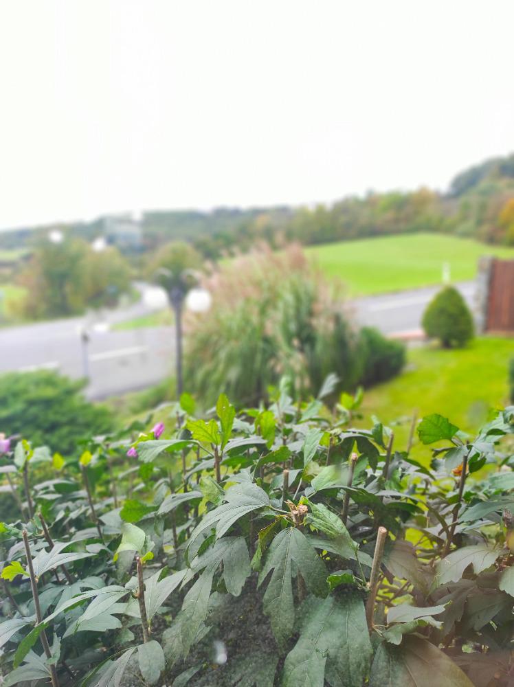 Apartmány Na Vyhlídce s.r.o. foto 6