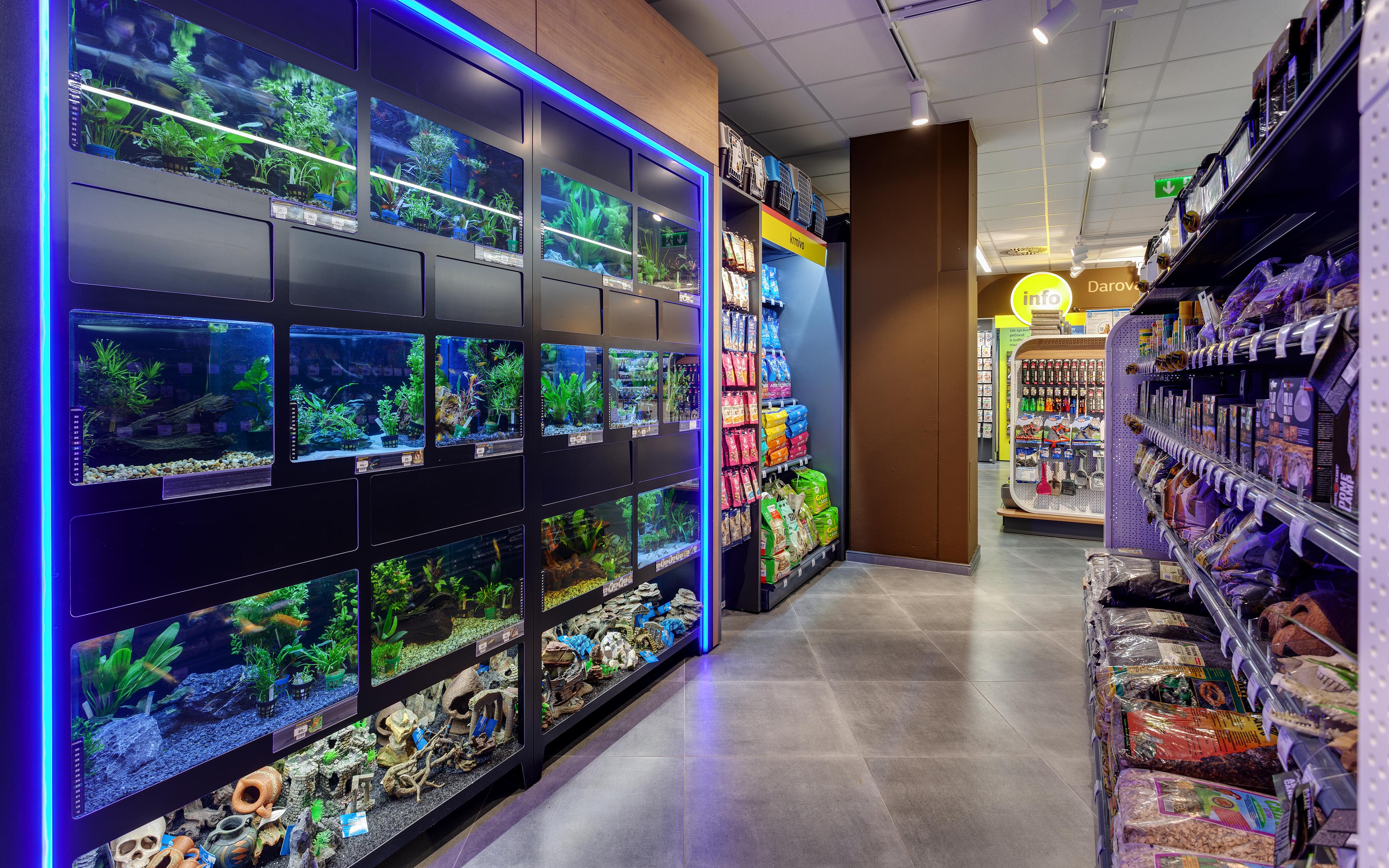 Super zoo foto 4