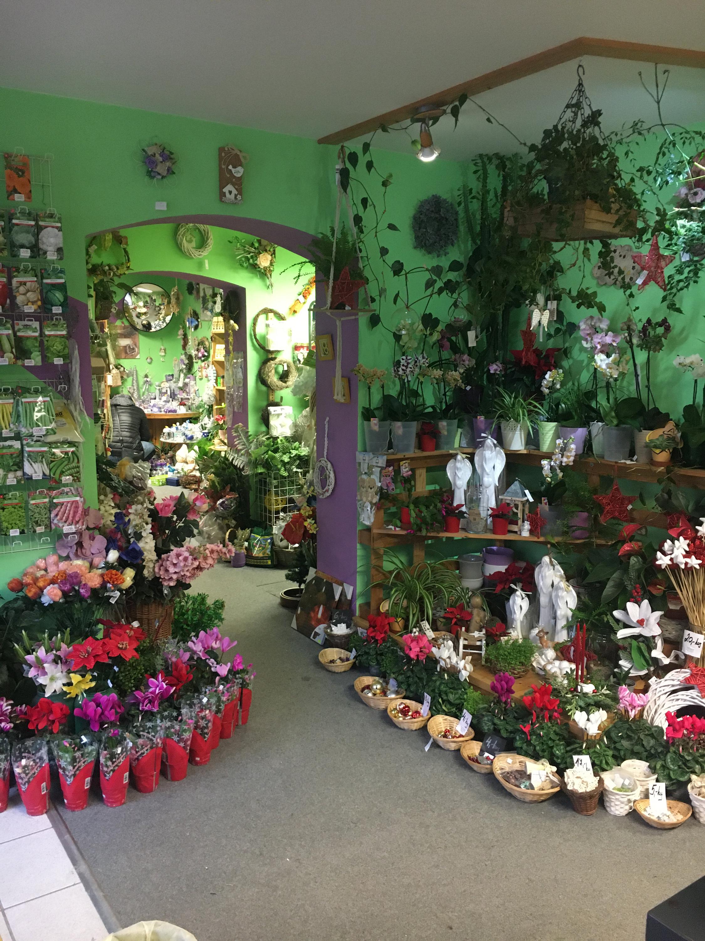 Kytičkárna u sluníčka foto 2