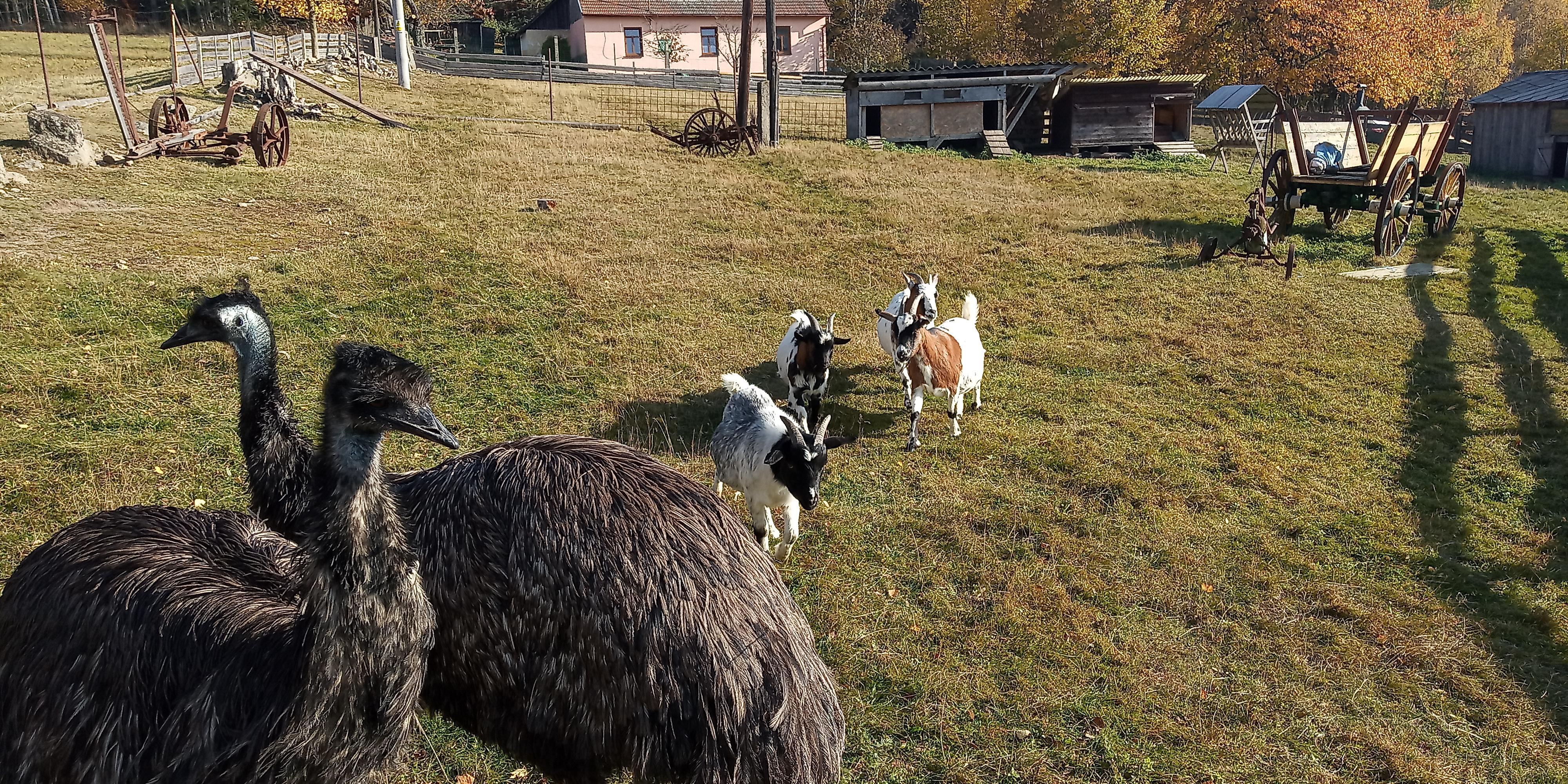 Moto Farma Čeřínek foto 5