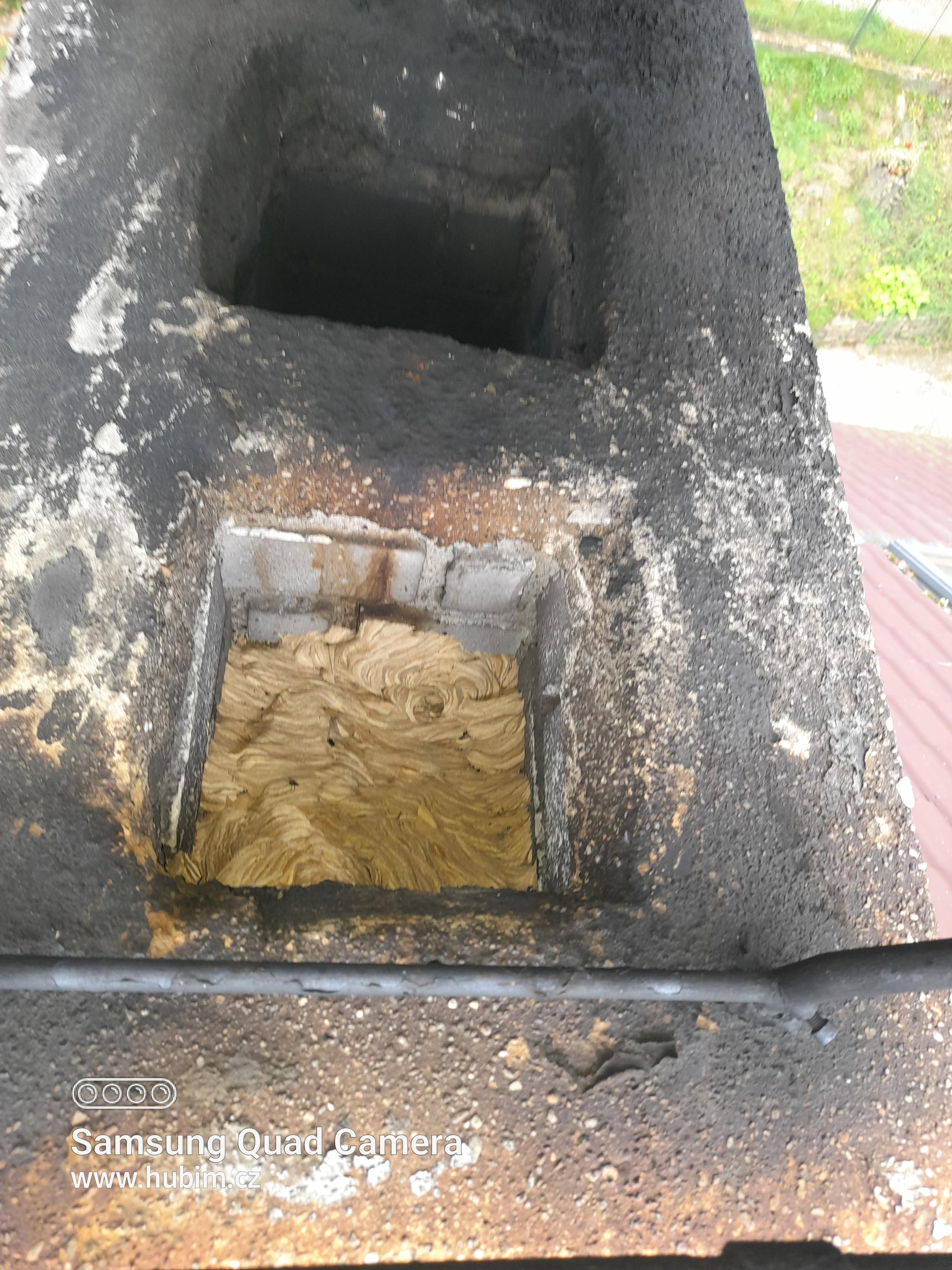 Deratizace, Dezinsekce, Dezinfekce Hubim.cz foto 3