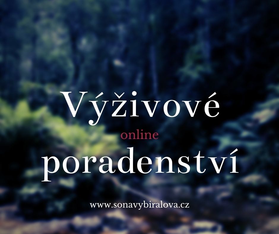 Ing. Soňa Vybíralová - Zdravotní a výživová poradna foto 1