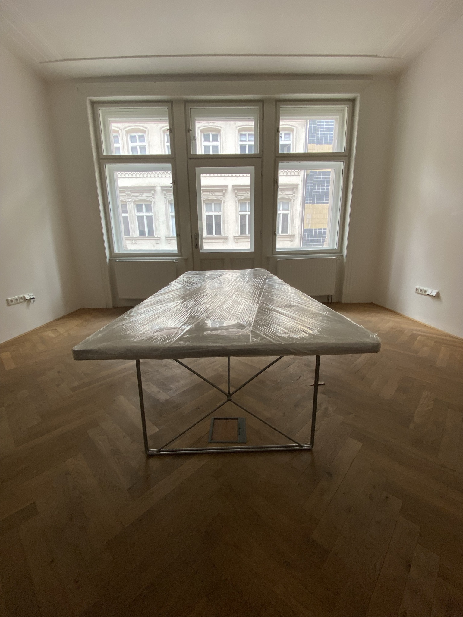 Moving Guy foto 3