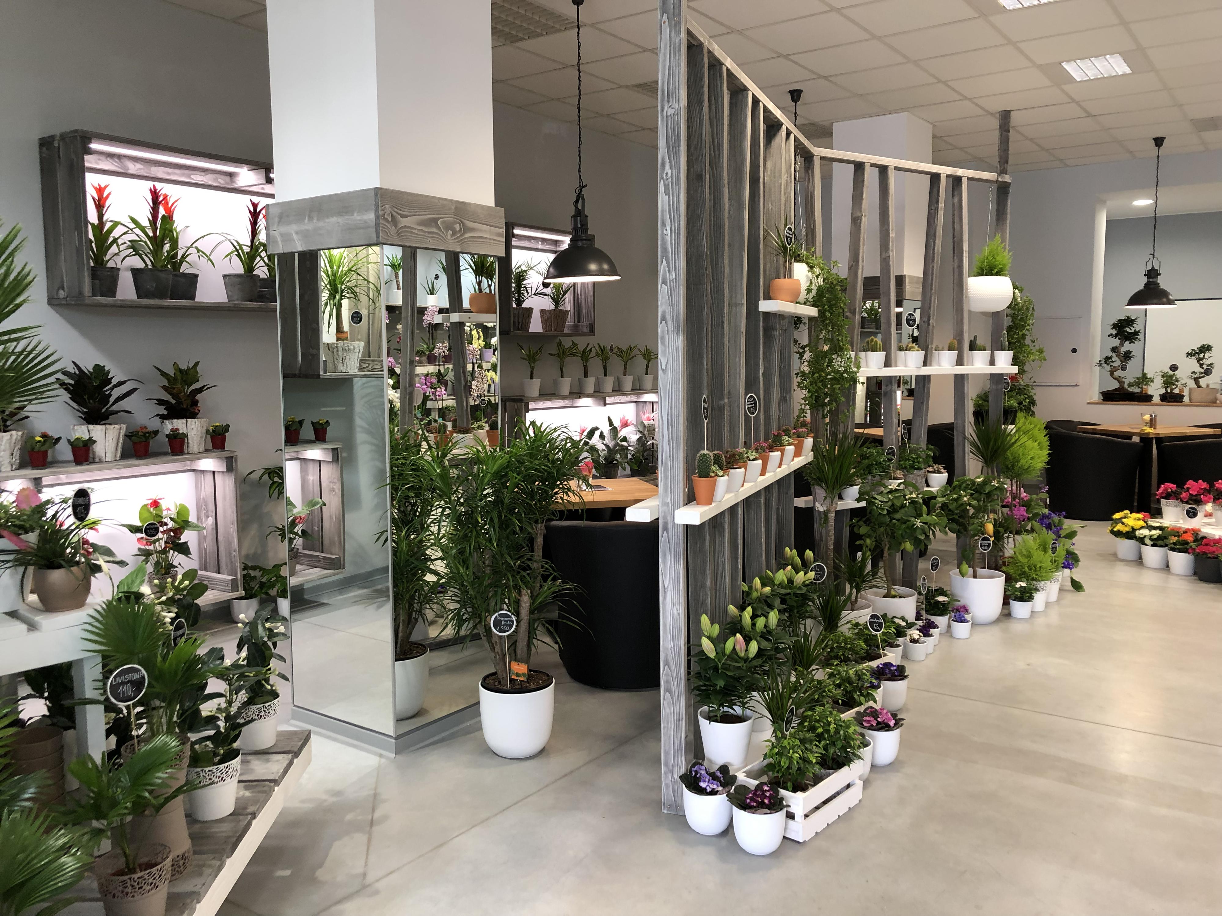 Květinářství Florcentrum Foltýnová foto 4