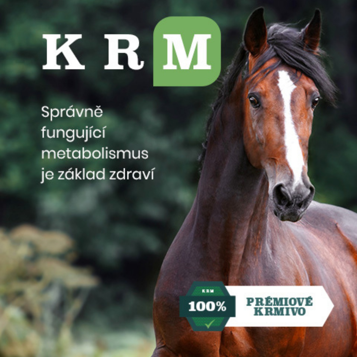 Krmkone.cz foto 2