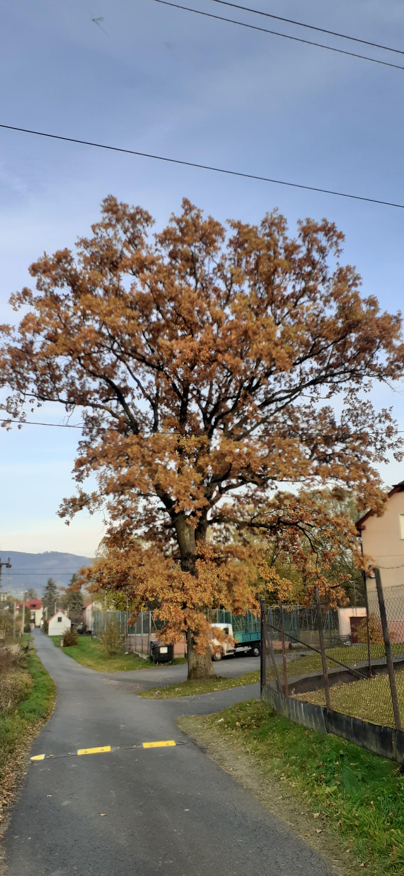 HOSPODA u HŘIŠTĚ foto 3