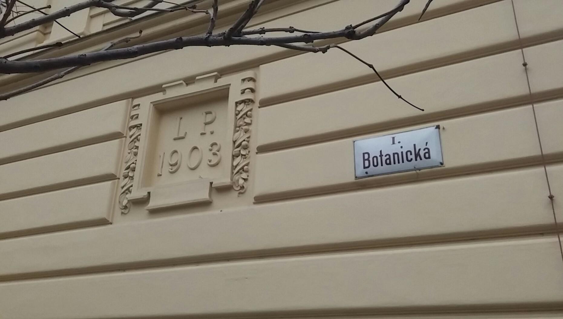 ZŠ a MŠ Brno, Antonínská 3 foto 5