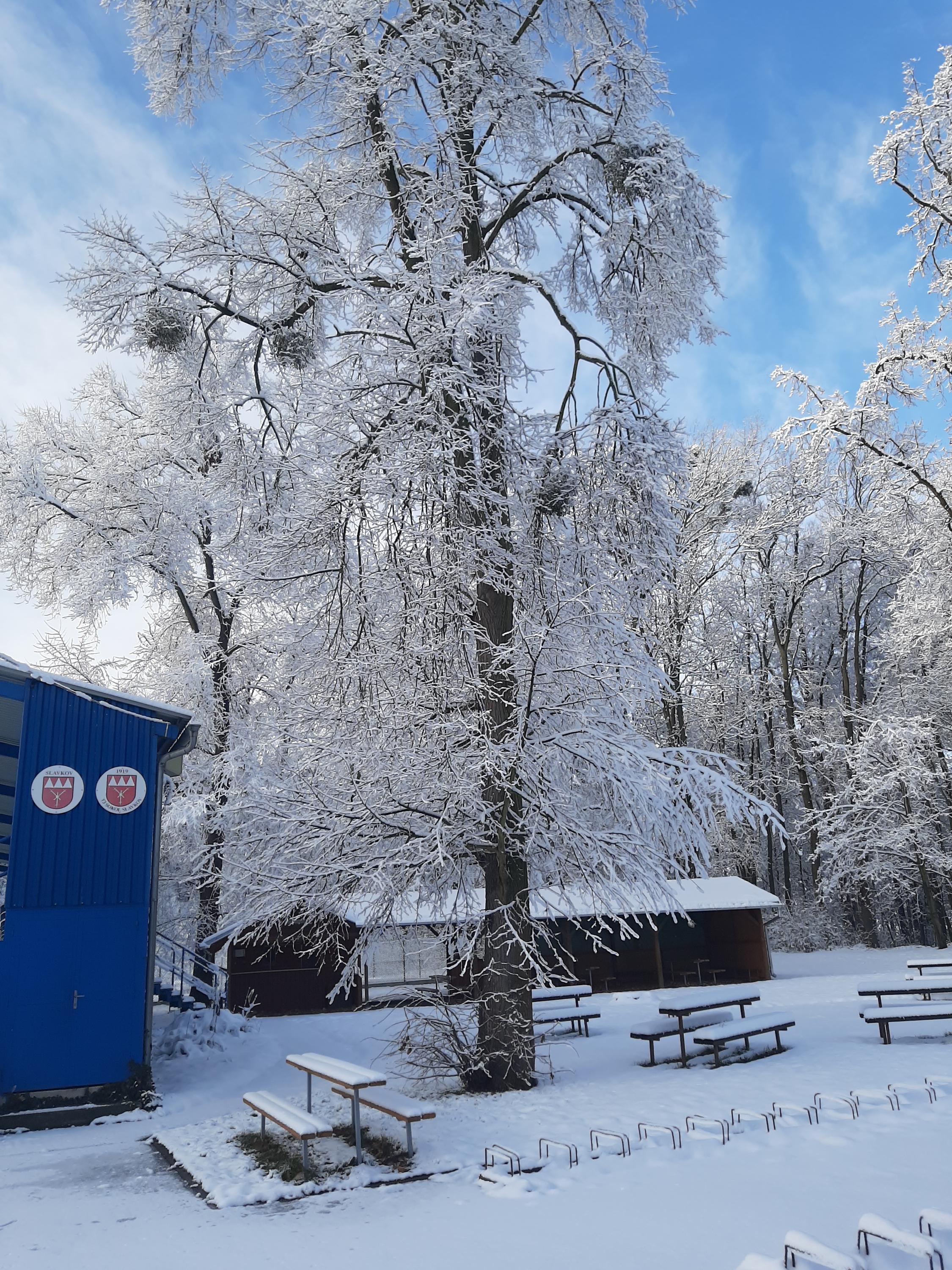 LESANKA - hospůdka u hřiště foto 3