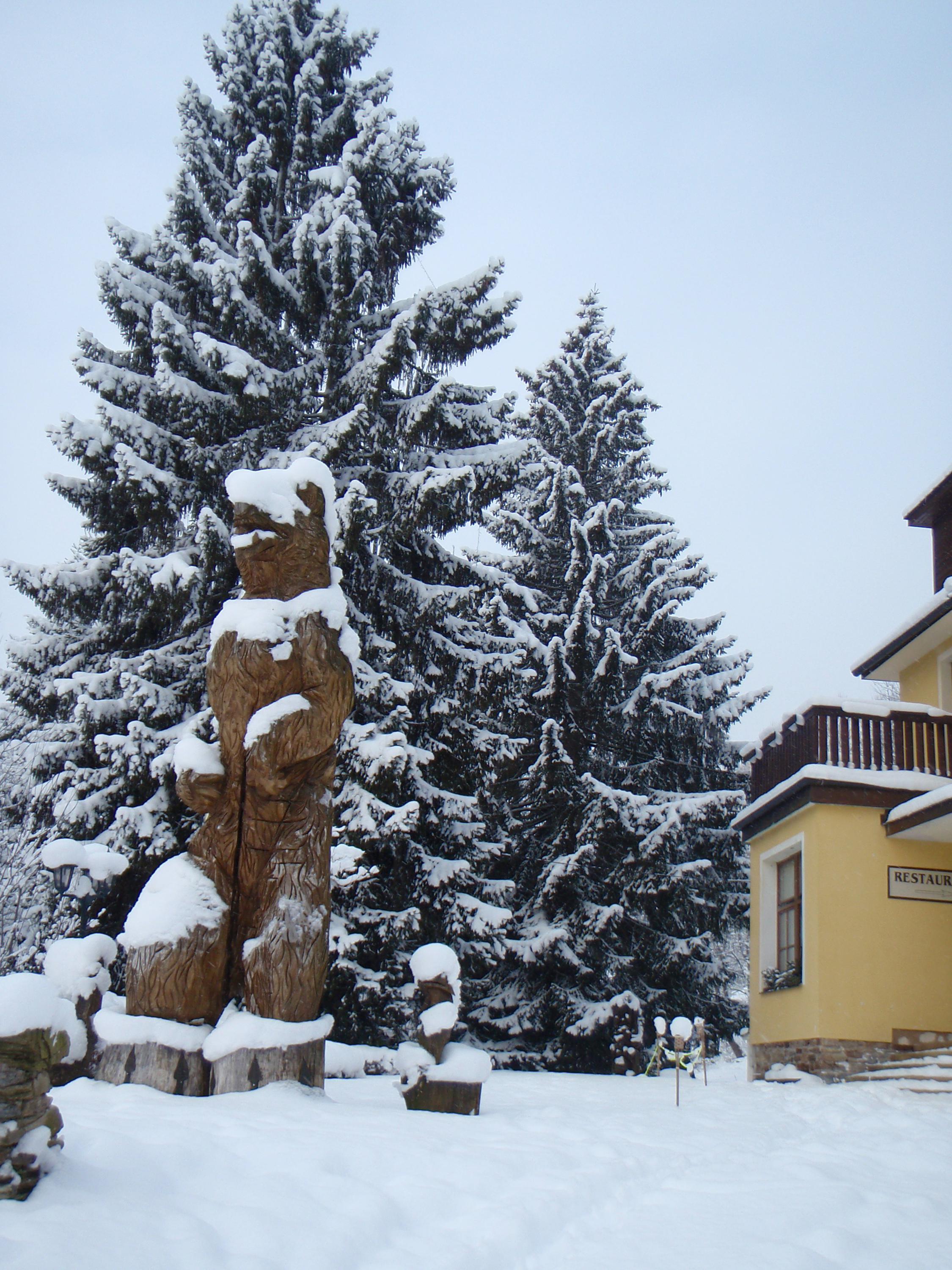 Hotel LUČNÍ DŮM foto 5