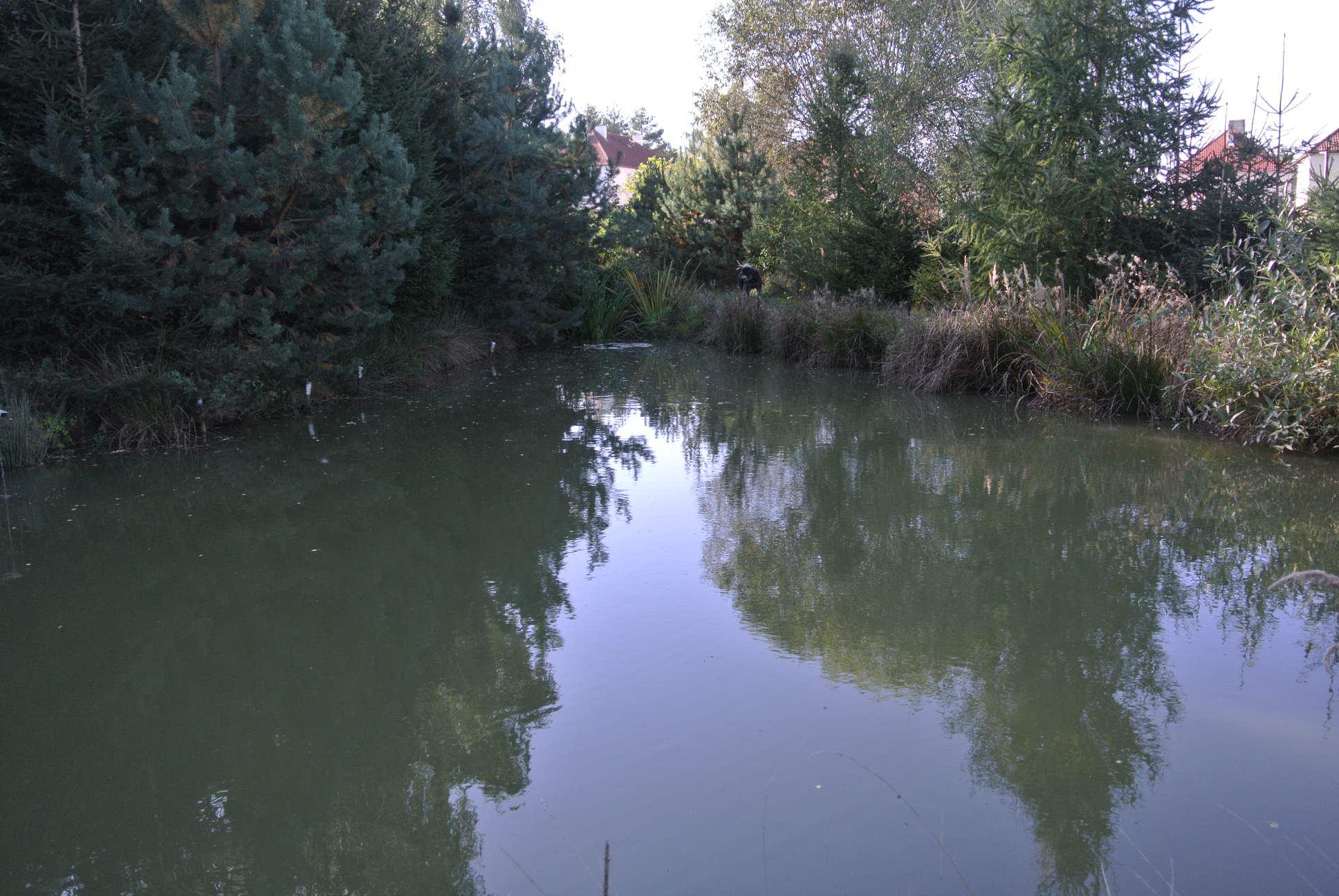 Penzion Oáza Bílek foto 2