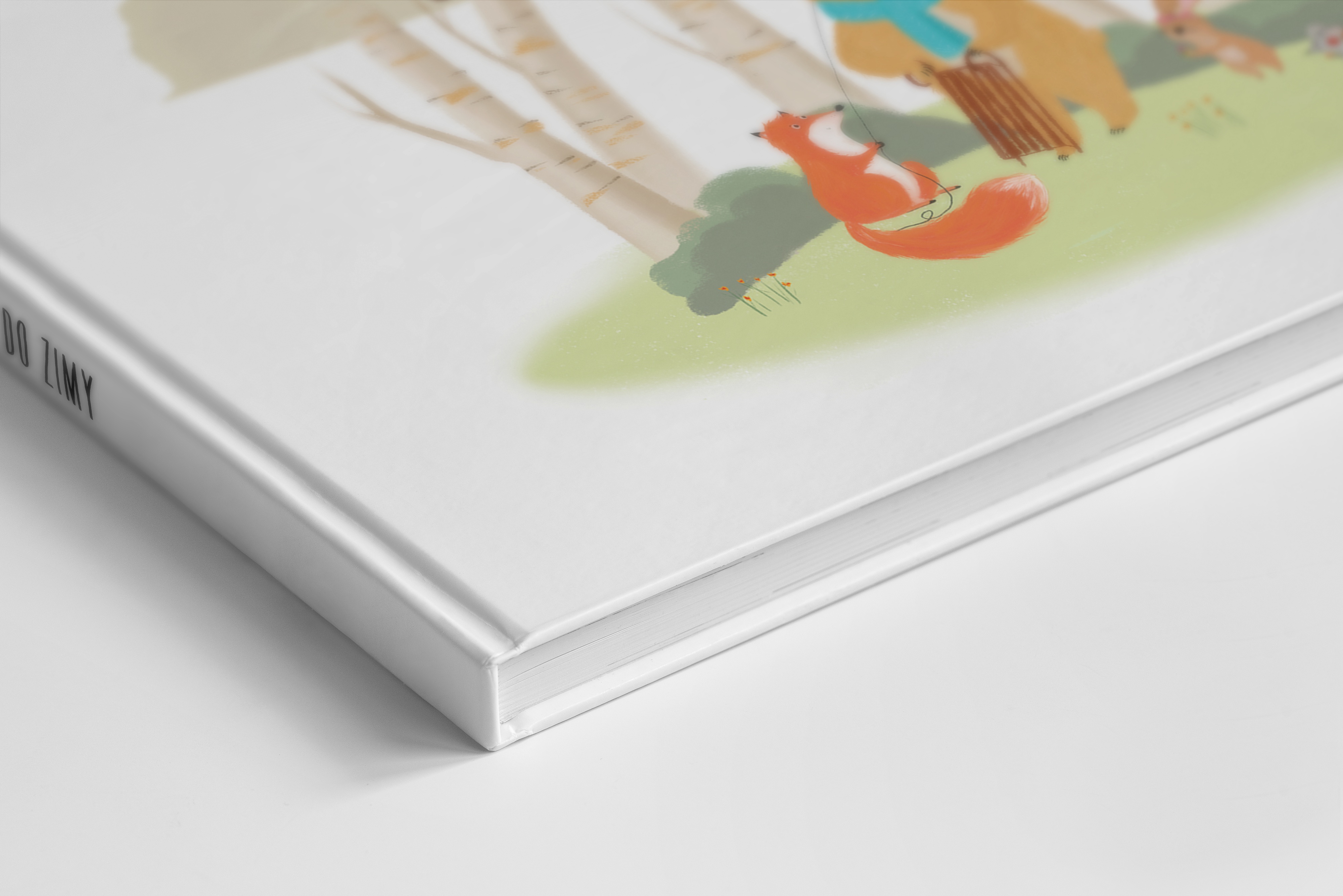 Od jara do zimy foto 4