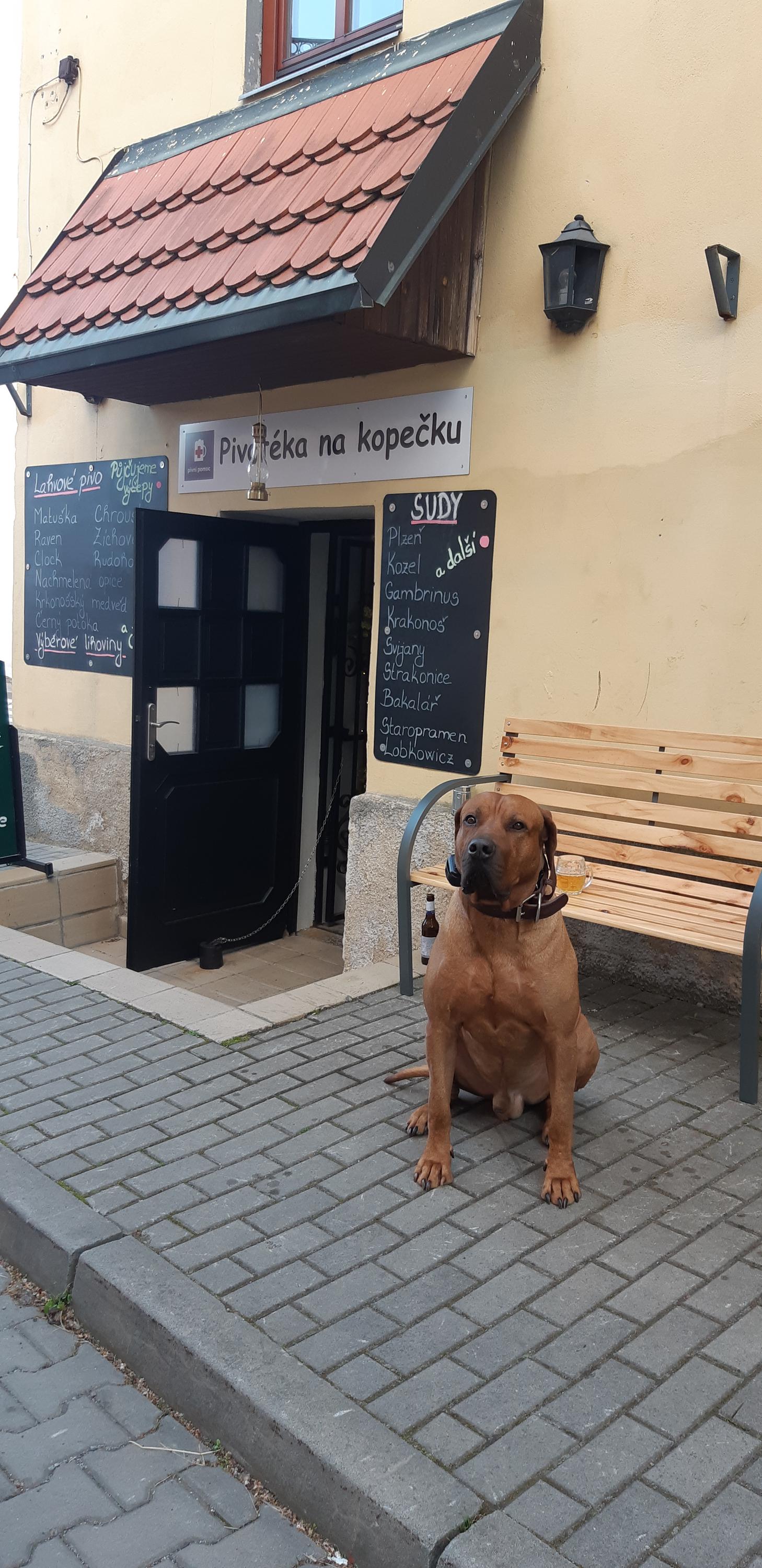 Pivotéka na kopečku foto 3