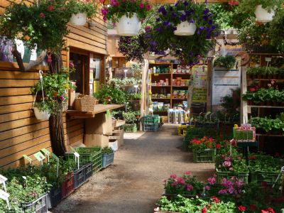 Build Your Home - Prodejní zahrada Černý Vůl foto 4