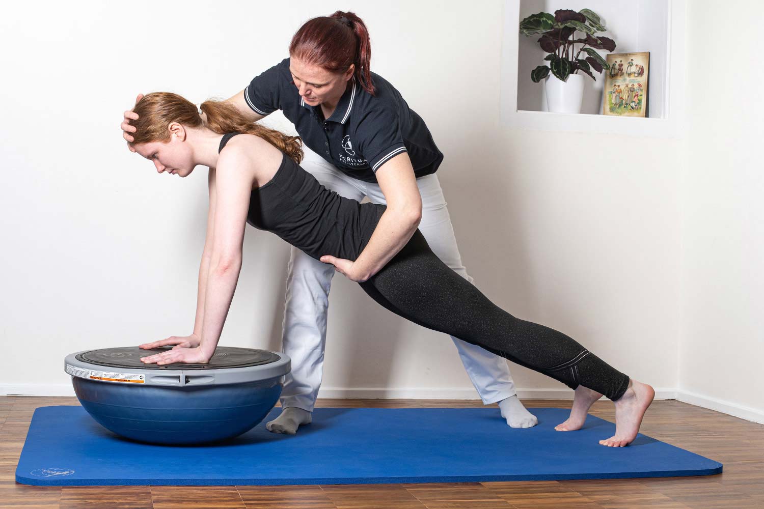 Fyzioterapie Meritum