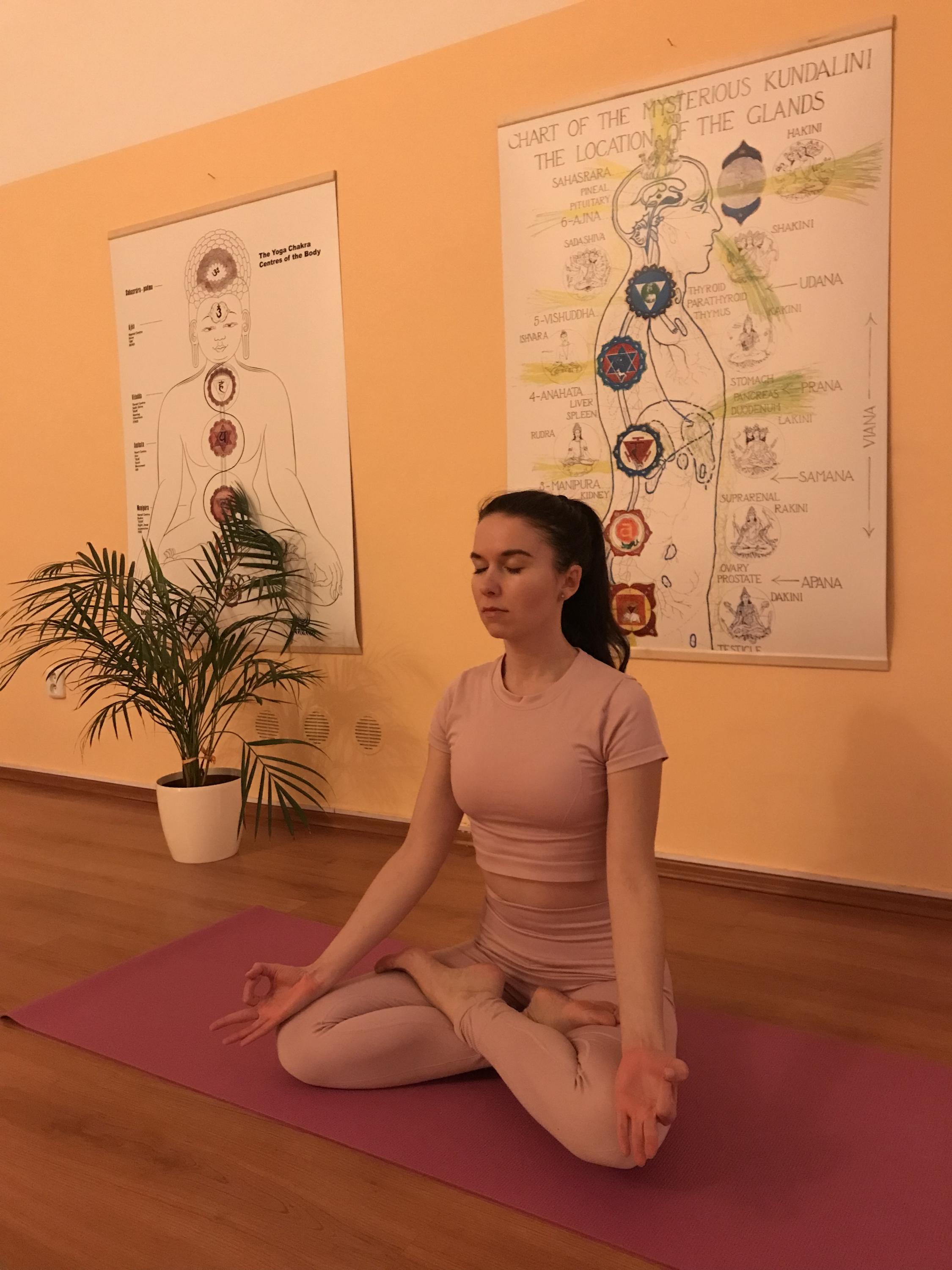 ŽIVA Centrum zdraví a vzdělávání Ostrava foto 4