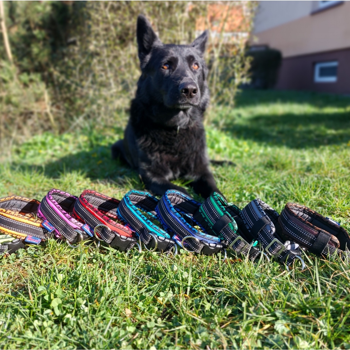 Zerodc.cz foto 3