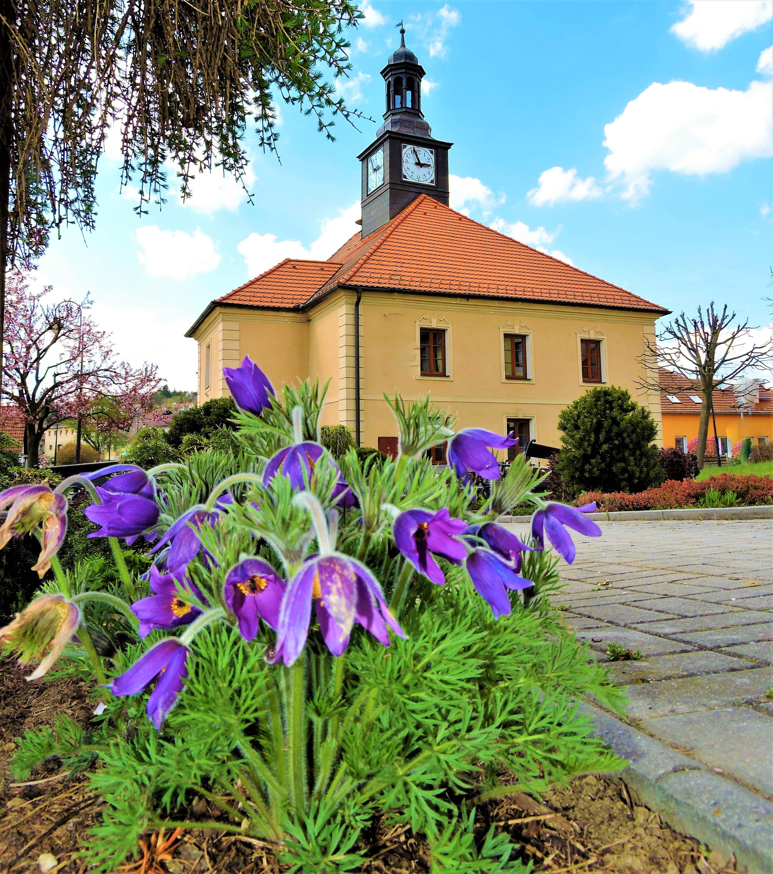Bělčice - městský úřad foto 6