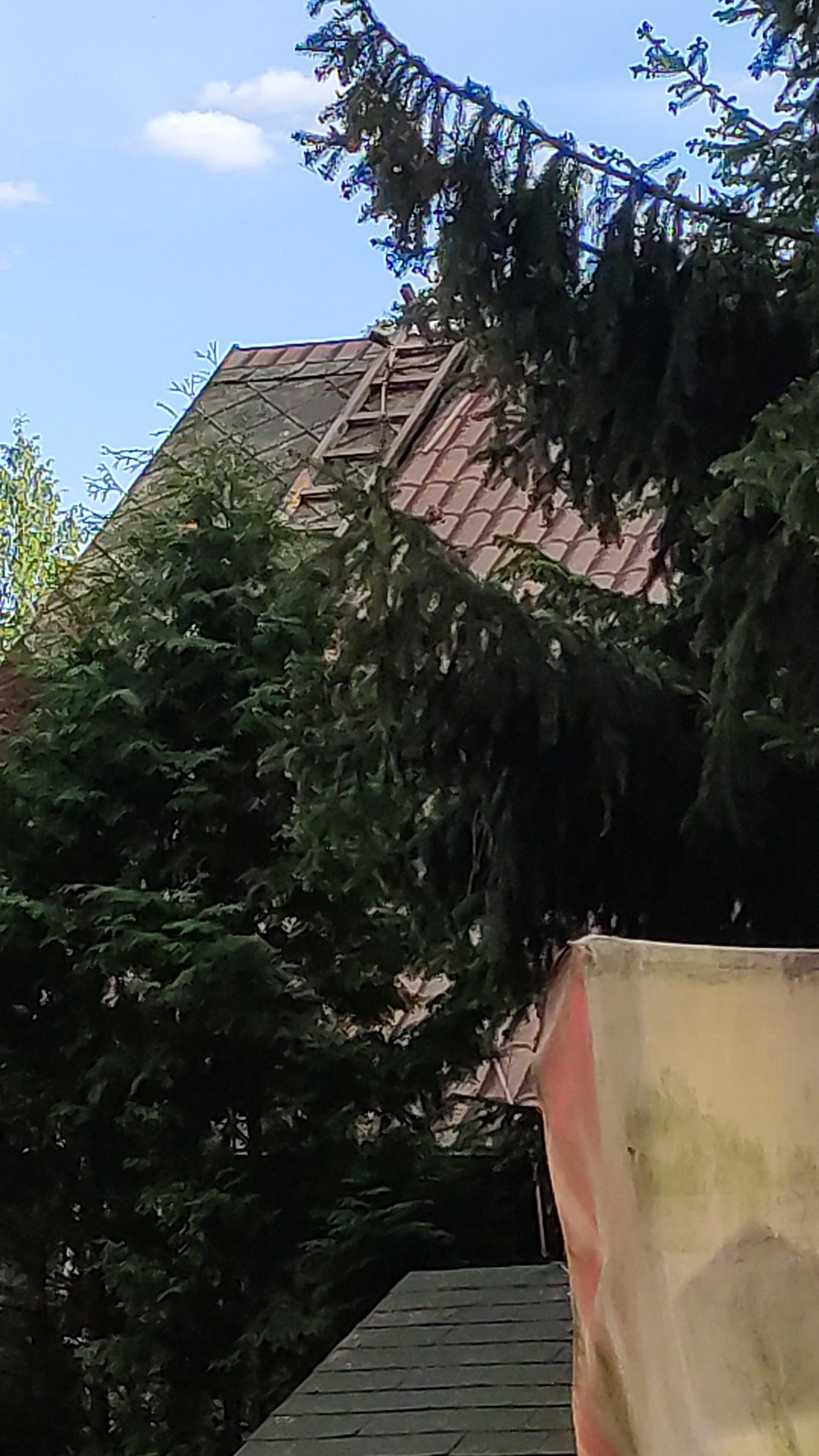 Renovace střech Juhás foto 2