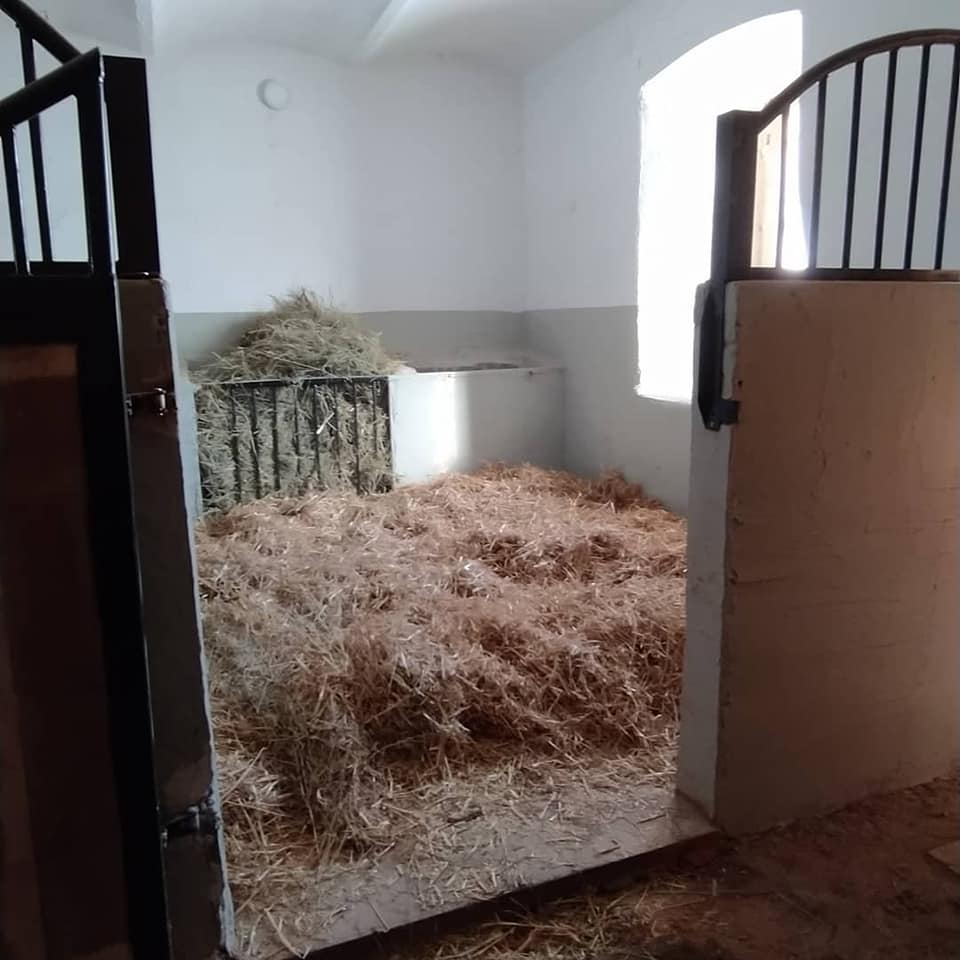 Statek Diblíkov foto 4