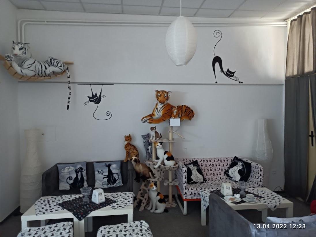 Cukrárna u Čičimourka