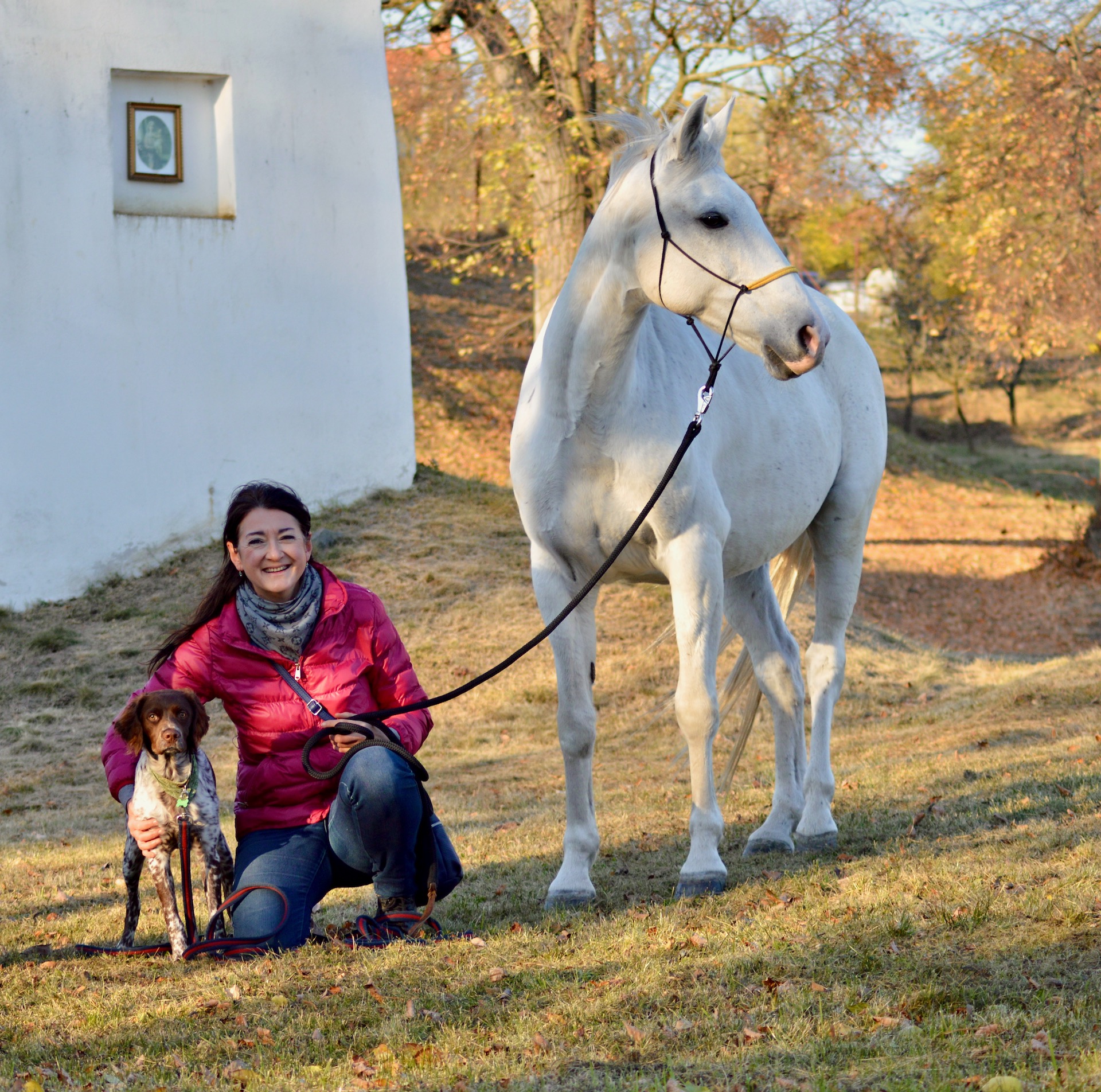 Jarmila Slaná - Výcvik psů foto 2