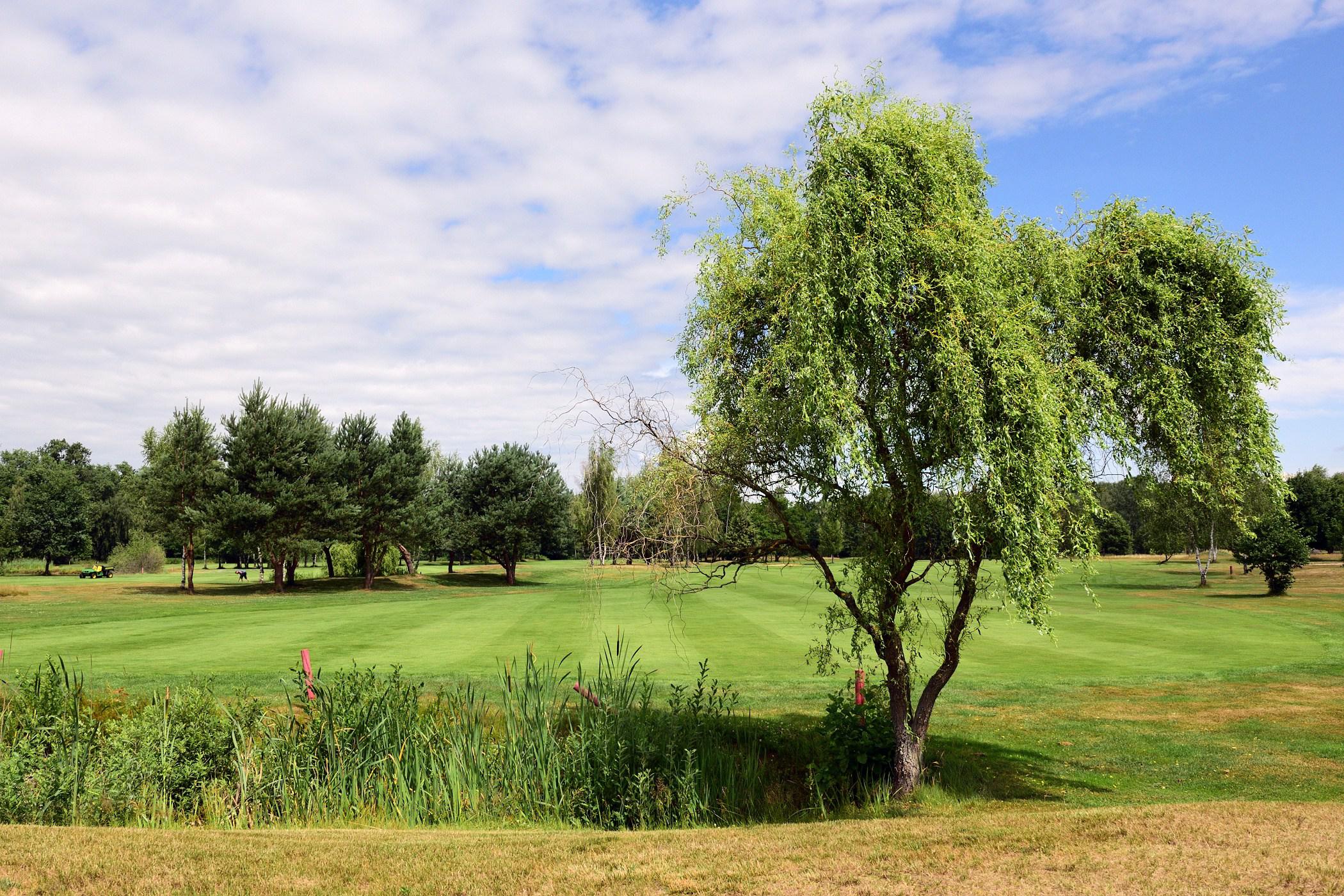 Golfové hřiště Lázně Bohdaneč foto 6