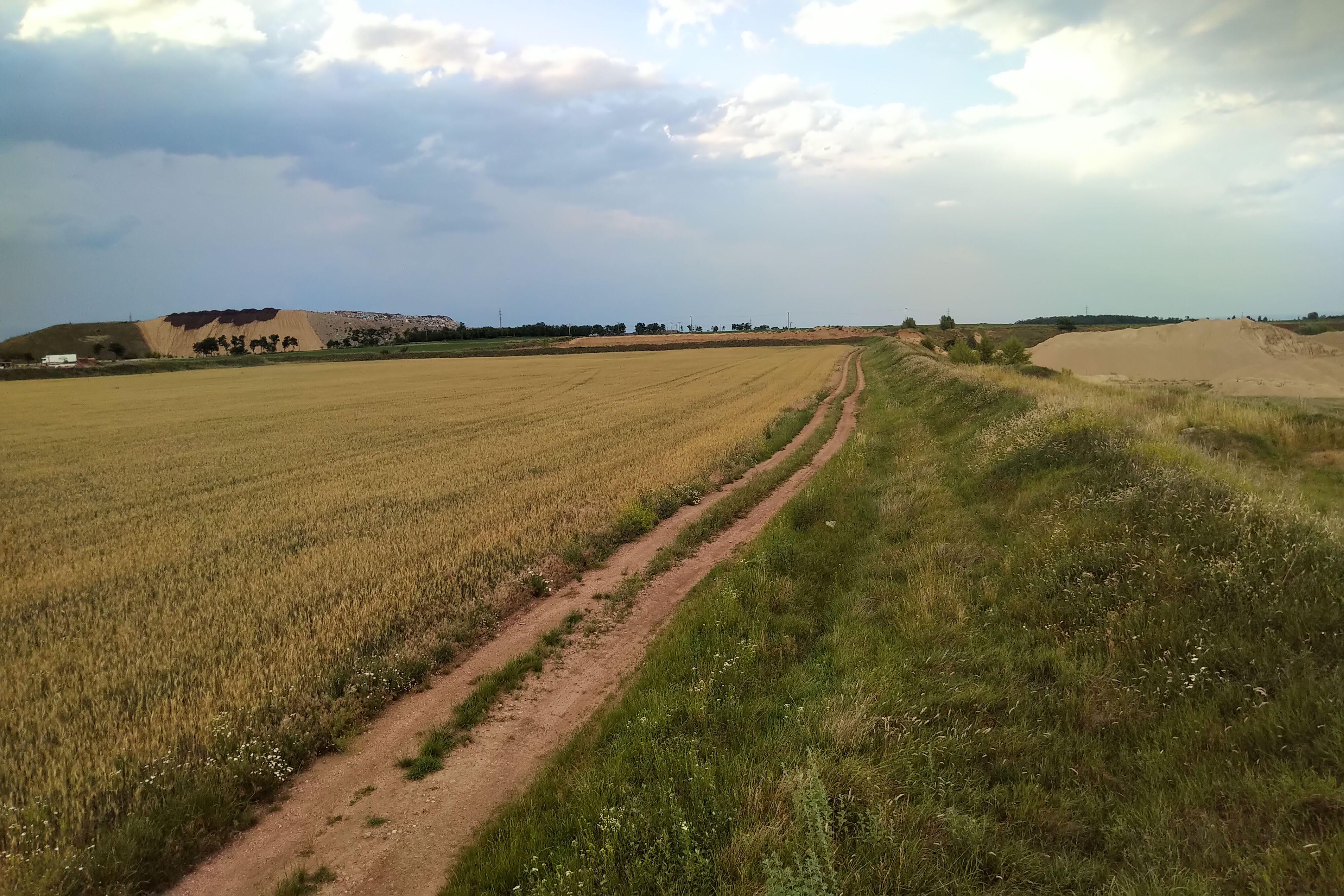PÍSEK ŽABČICE spol. s r.o. – pískovna a skládka Žabčice foto 2