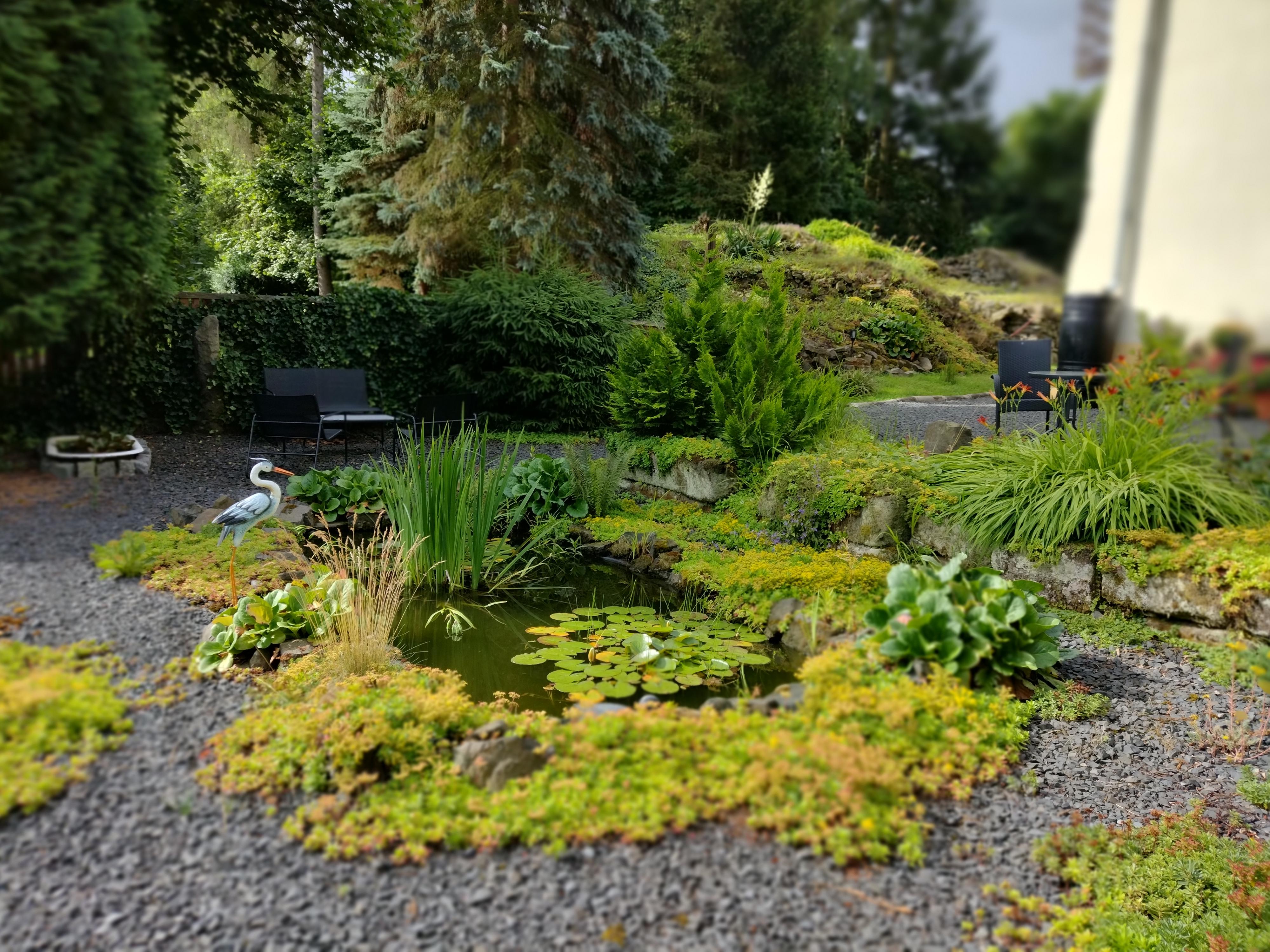 Bed and Breakfast Tvrz foto 3