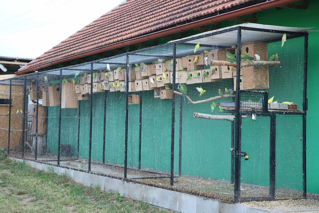 Penzion Kristýna foto 5