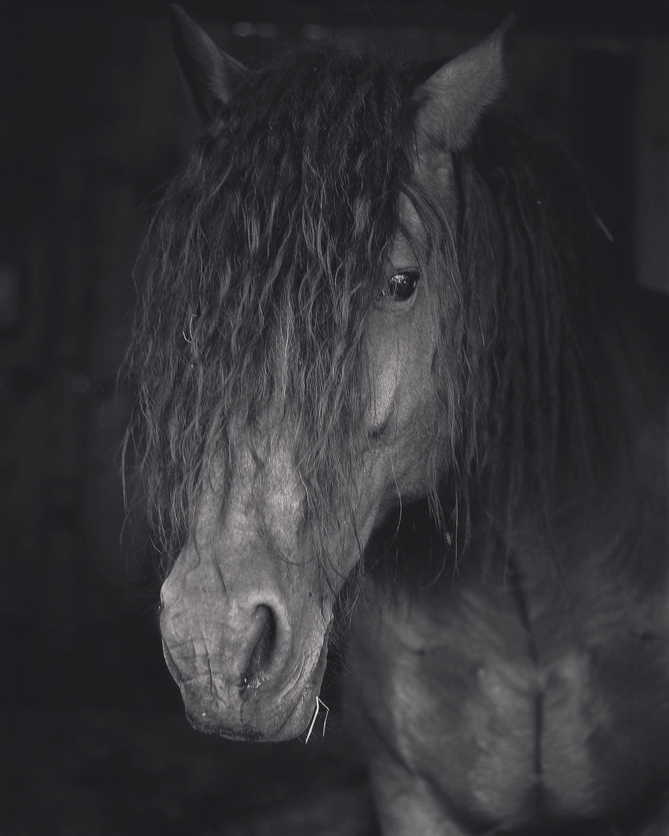 Ubytování Velké Losiny foto 2
