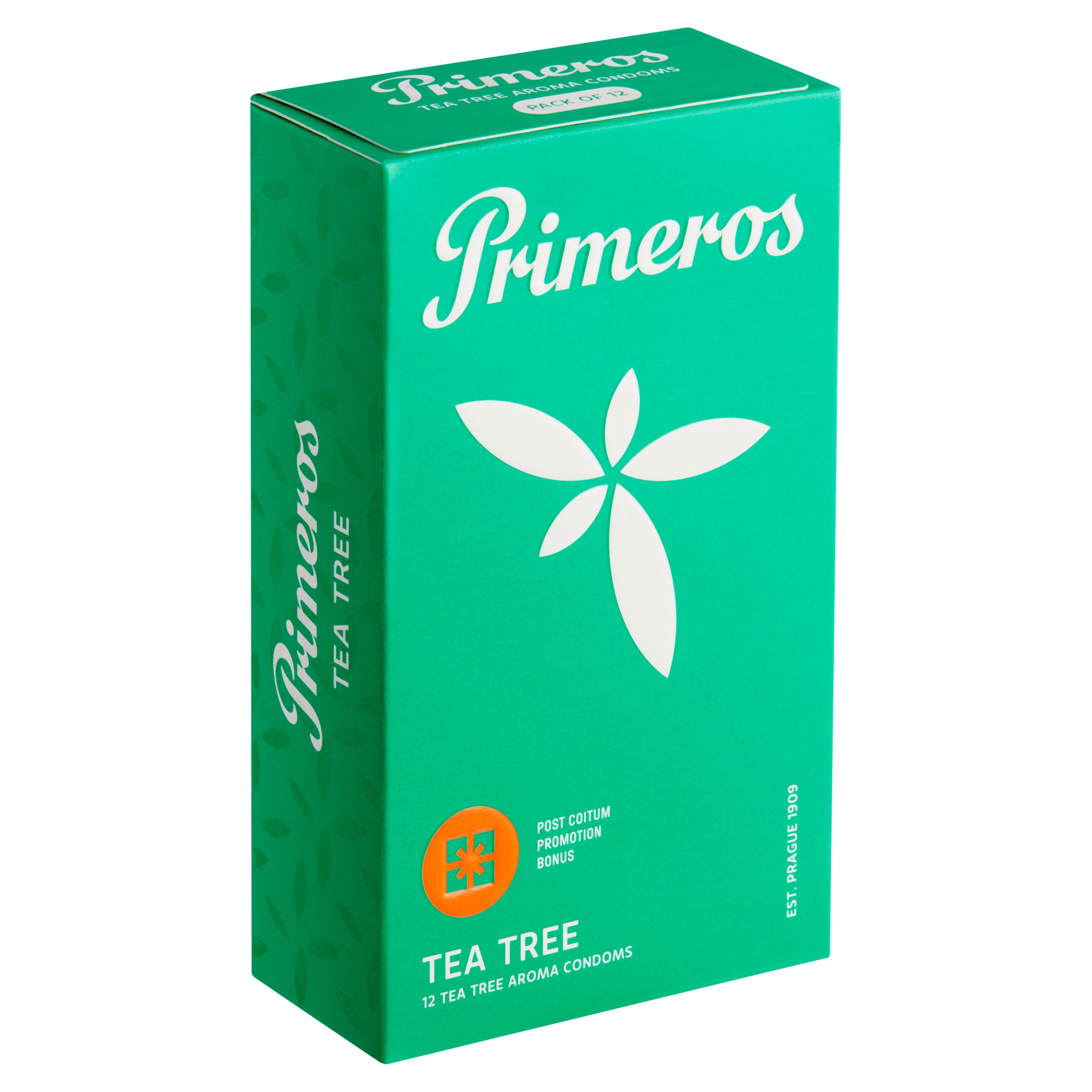 PRIMEROS foto 2
