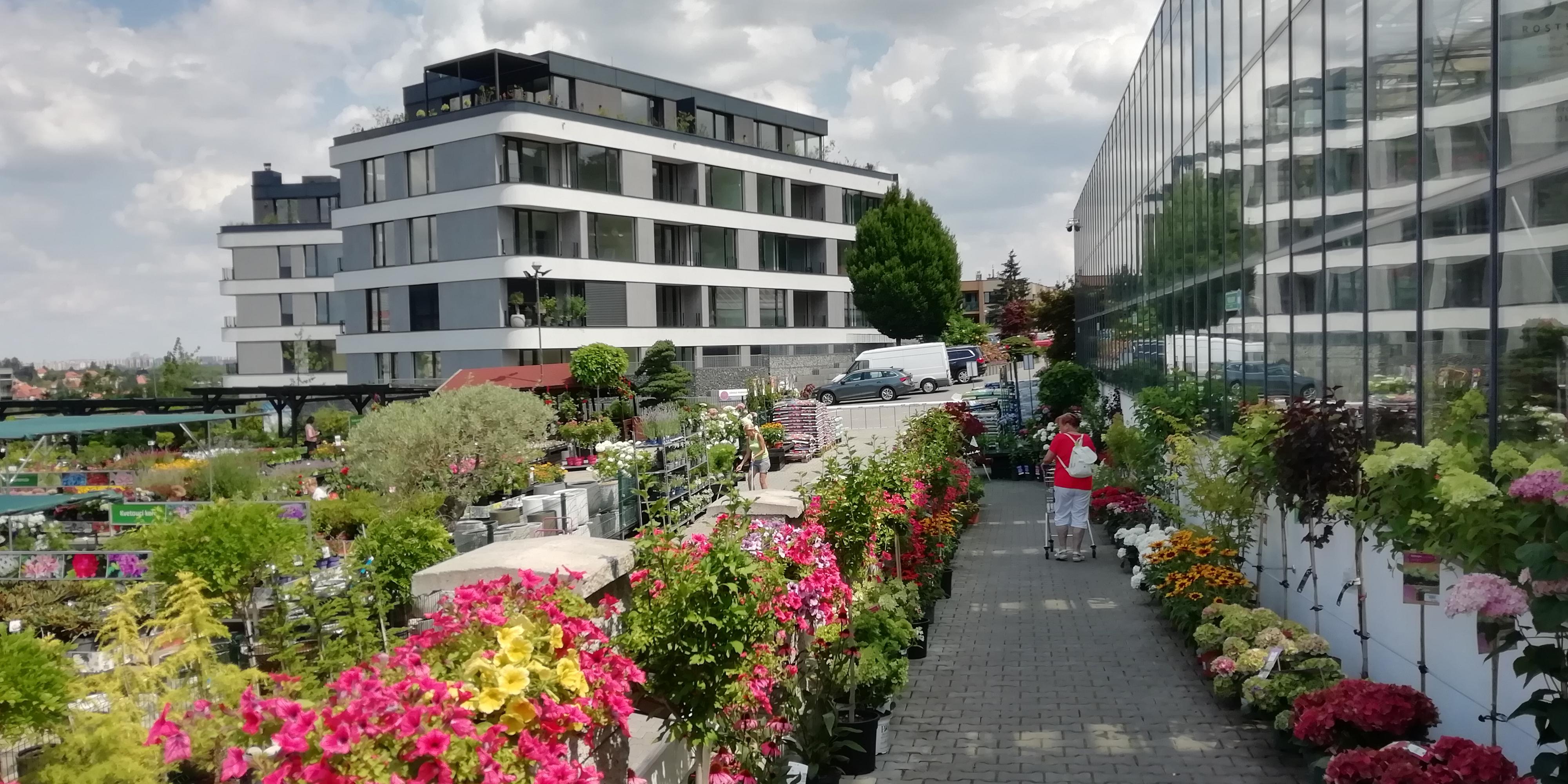 Zahradnictví Chládek foto 6
