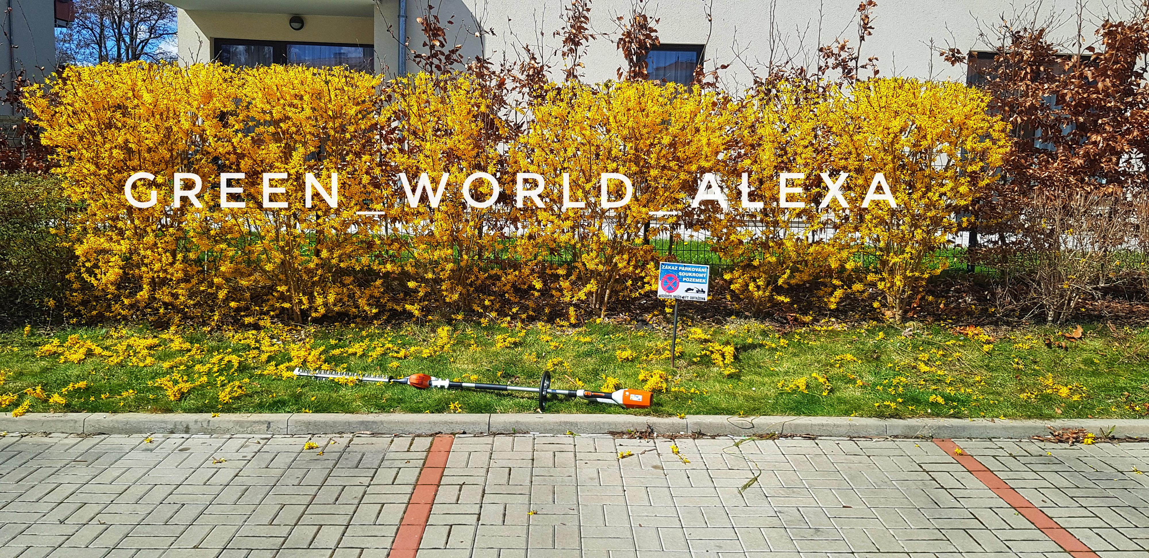 Green World Alexa foto 4