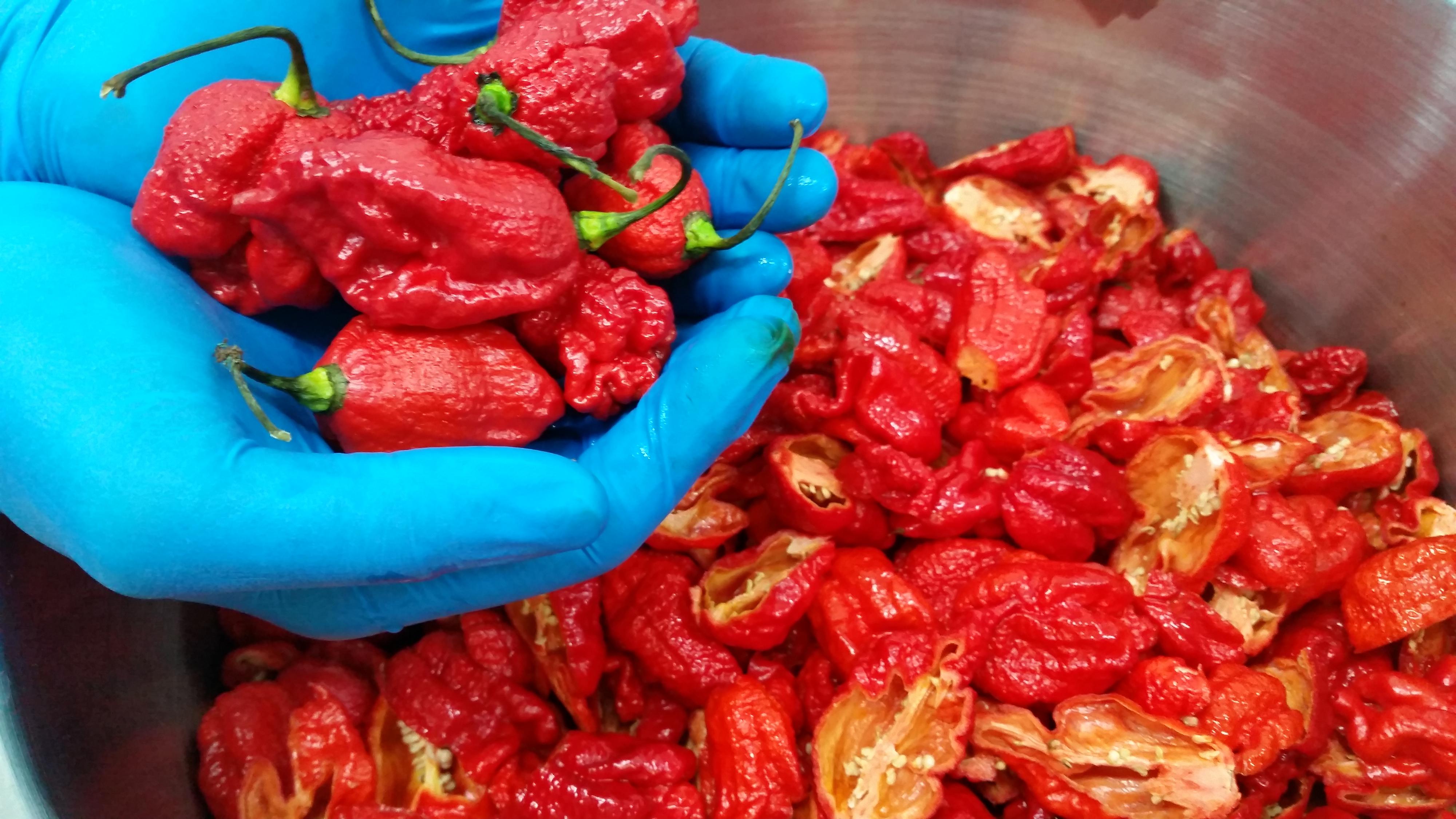My-Chilli foto 3