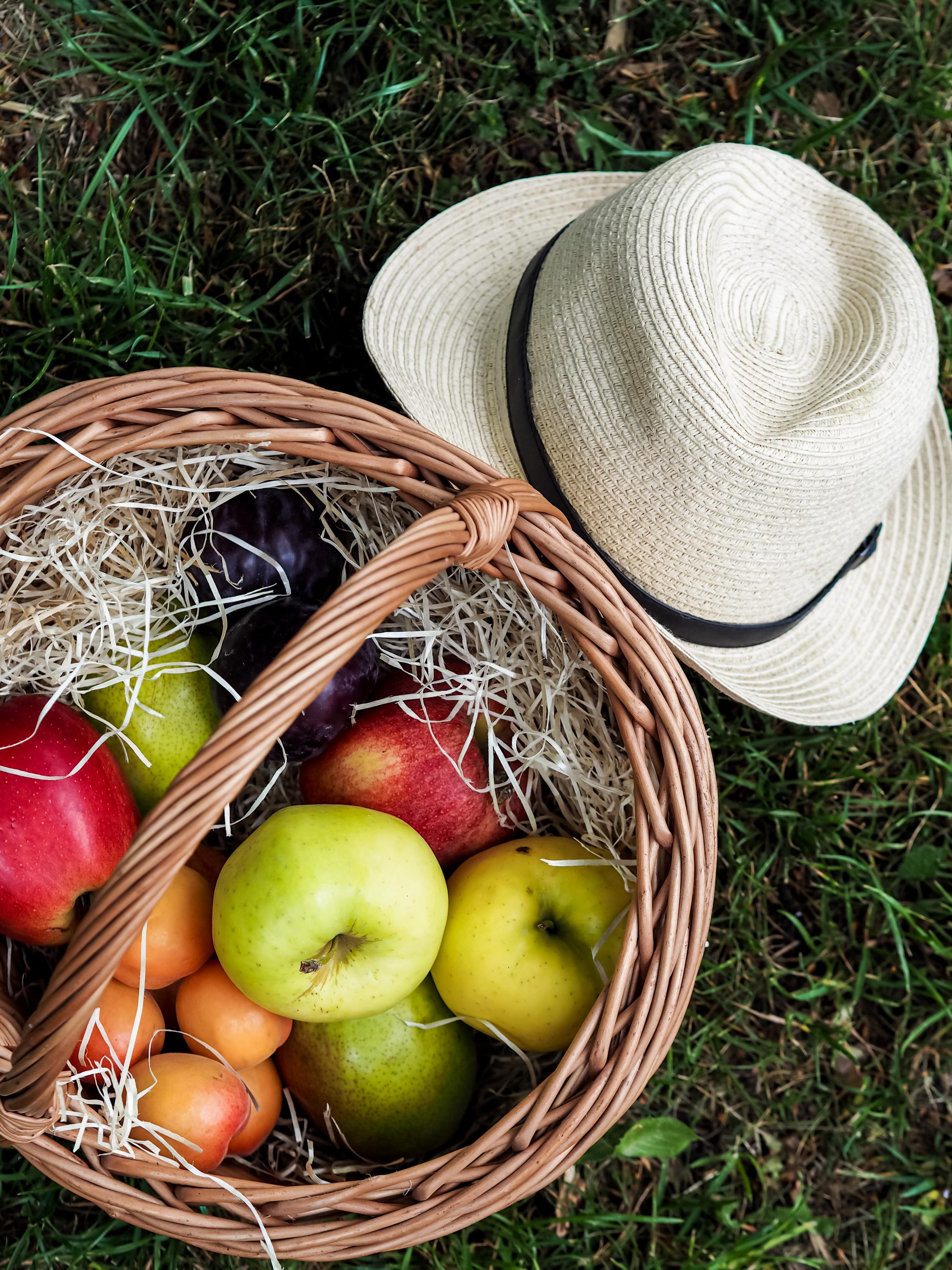 Prodejna Farma Novák foto 4