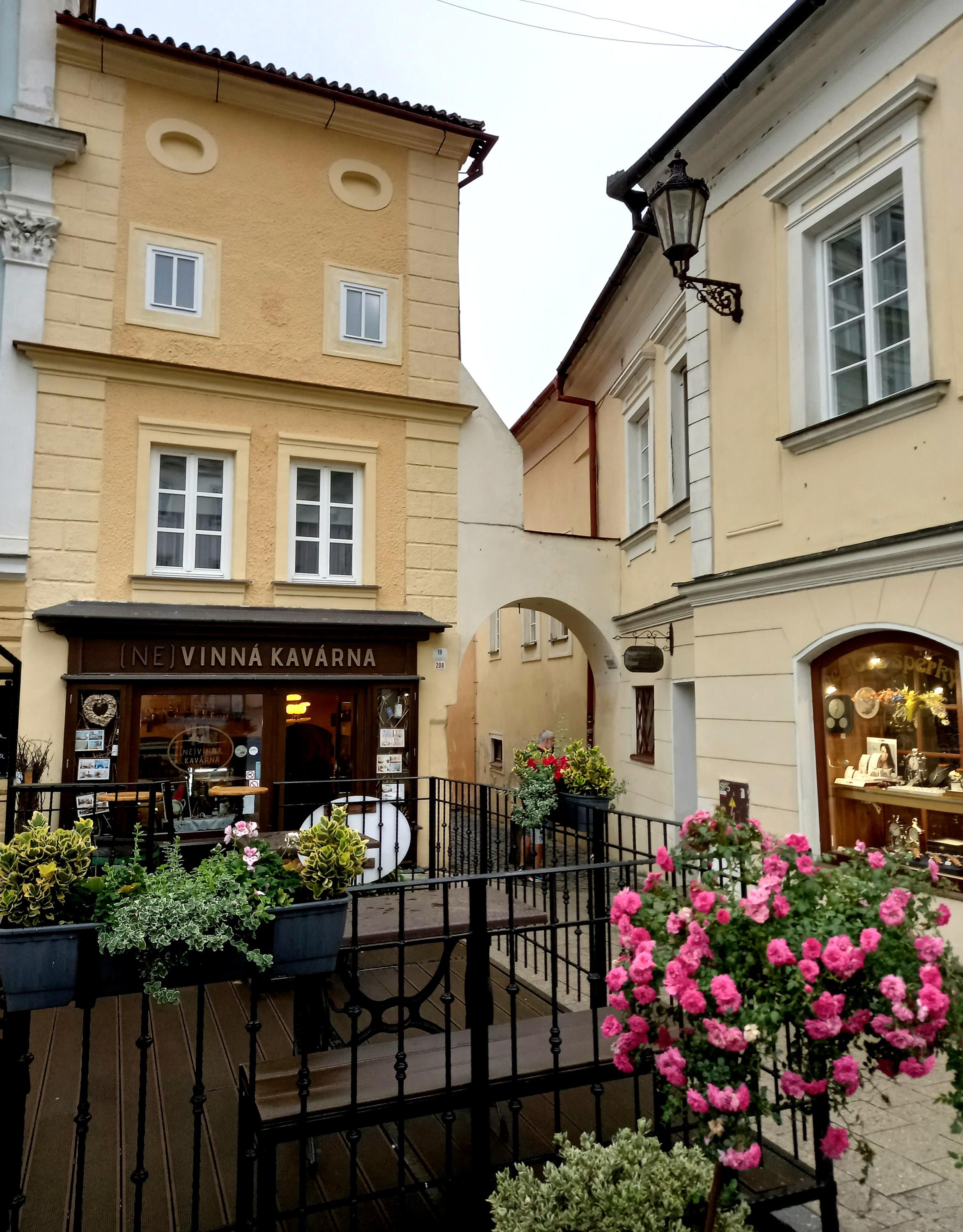 (NE) VINNÁ KAVÁRNA - vinárna foto 2