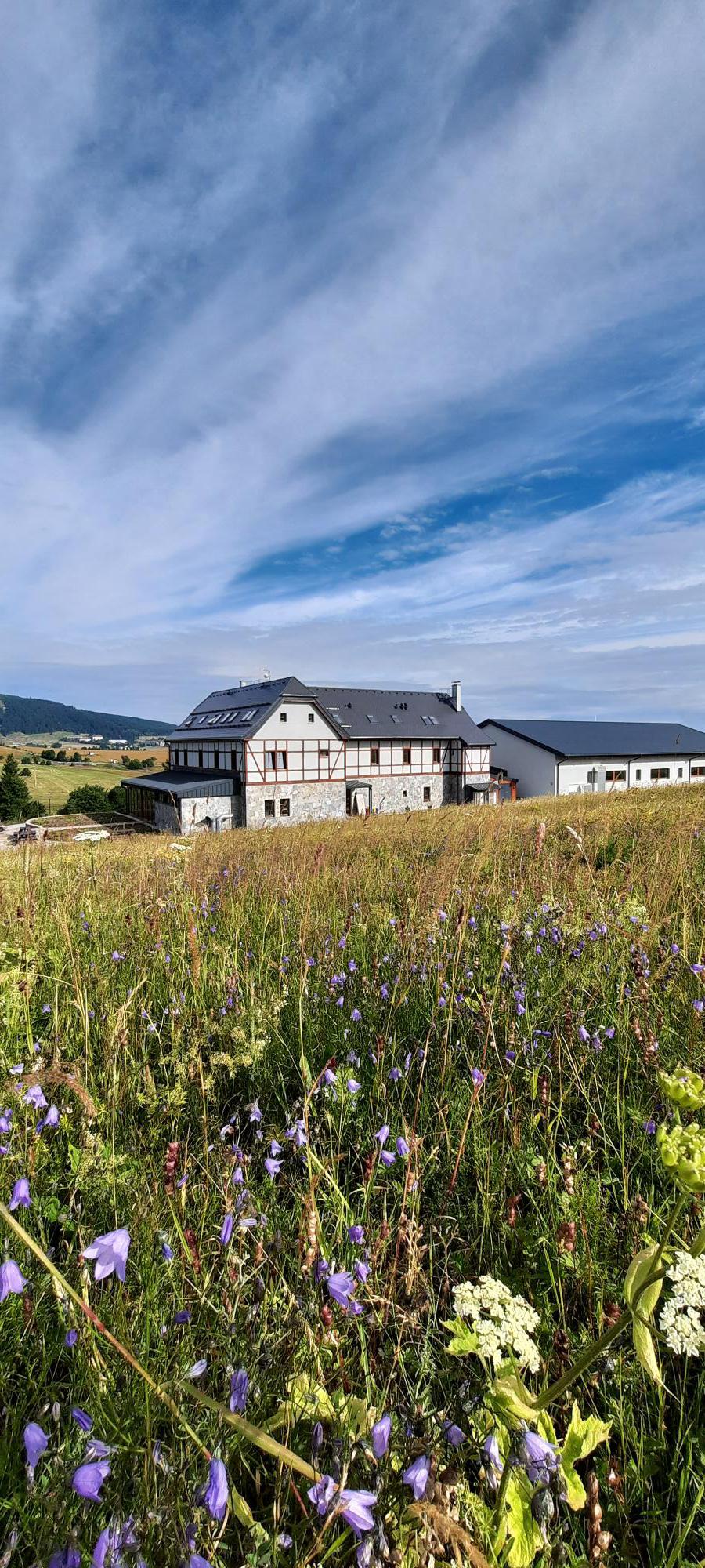 Königův mlýn foto 5