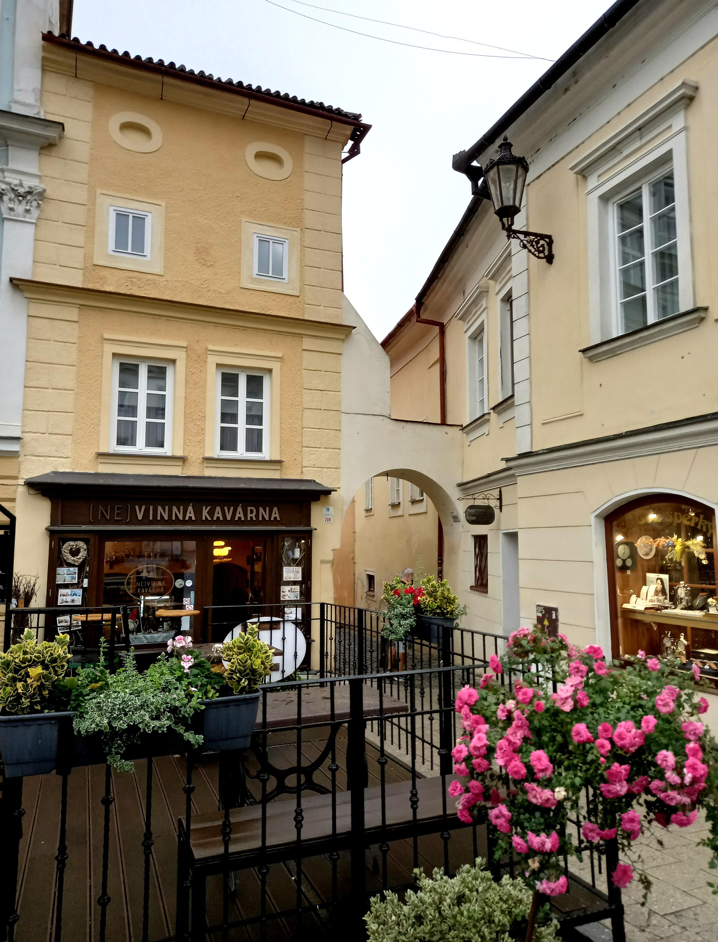 (NE) VINNÁ KAVÁRNA - ubytování foto 5