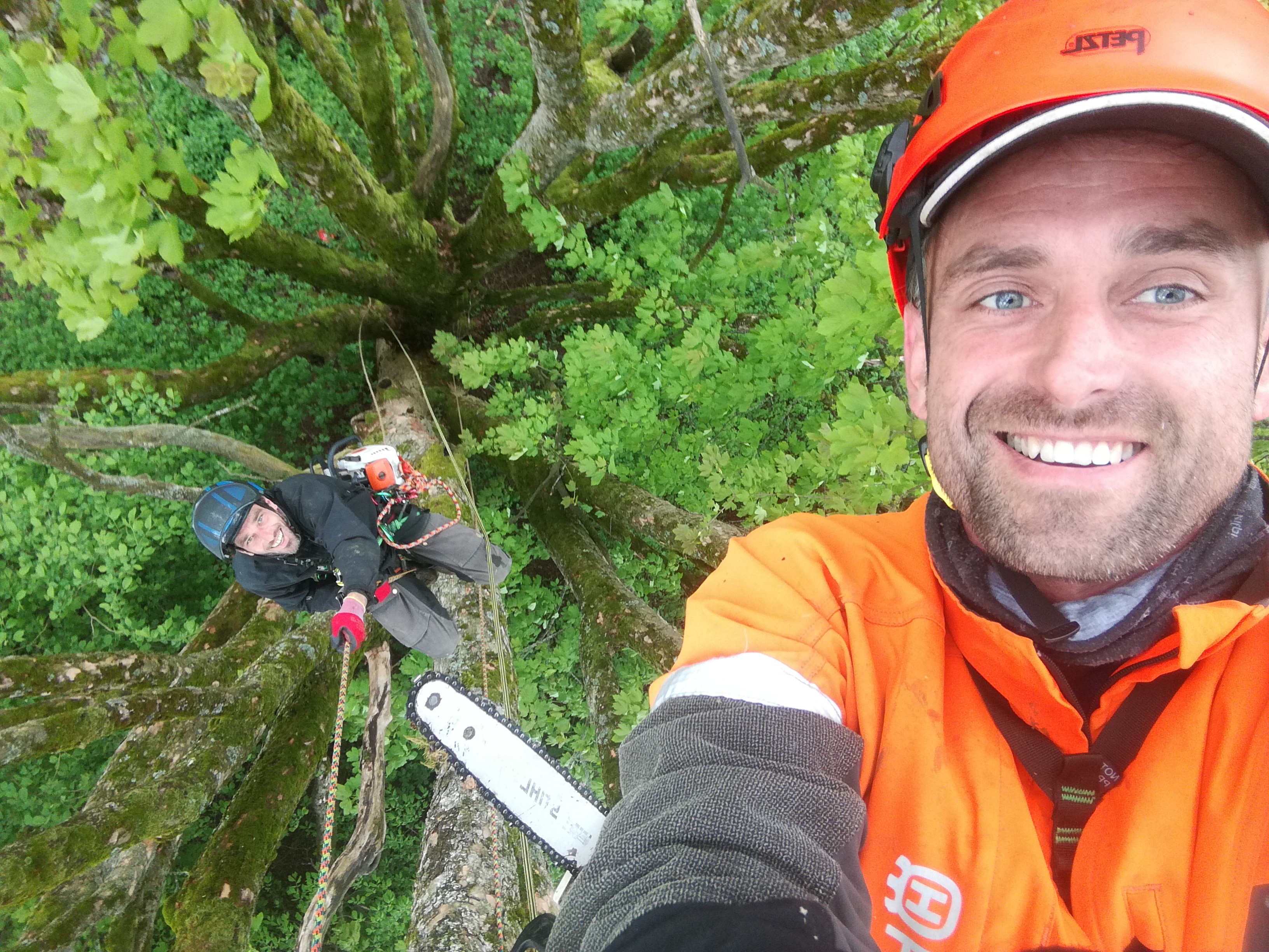 ŘEŽUSTROMY.CZ foto 2